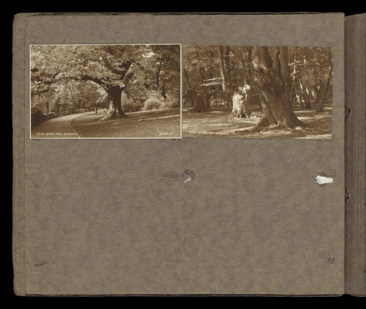 Vintage Album Page with Two Park Photos