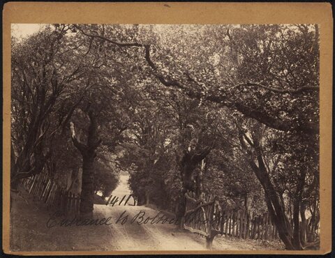 Entrance to Bolton Woods