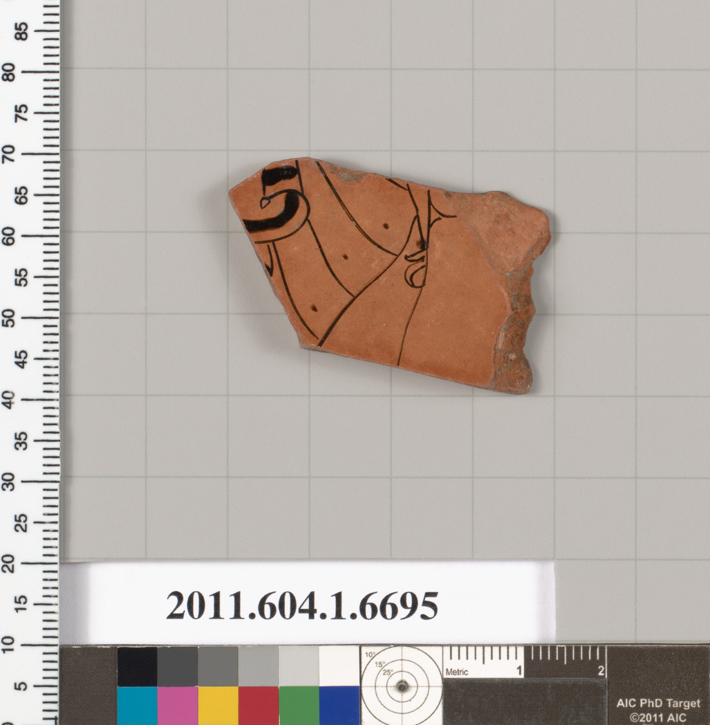 Ancient Pottery Shard Specimen