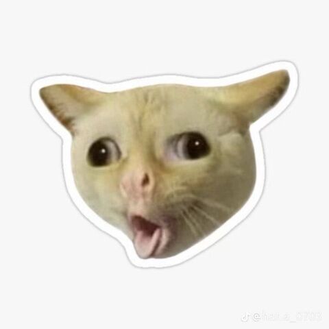 Surprised Meme Cat Sticker