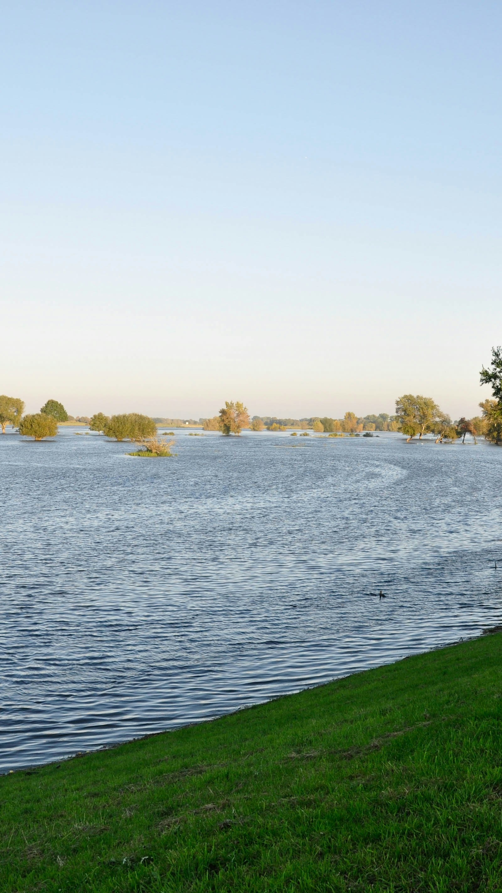 Flooded River Landscape