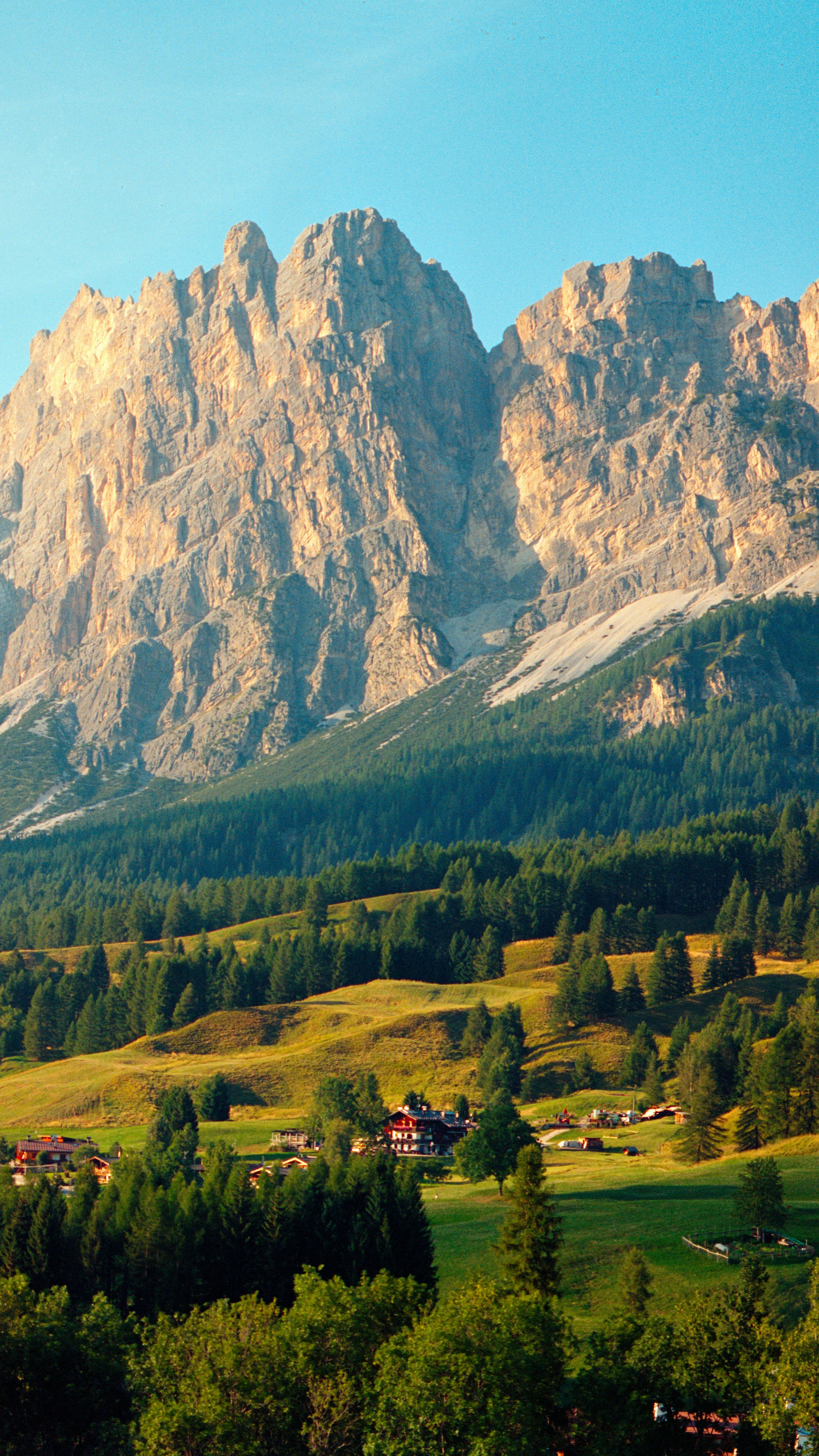 Wallpapers