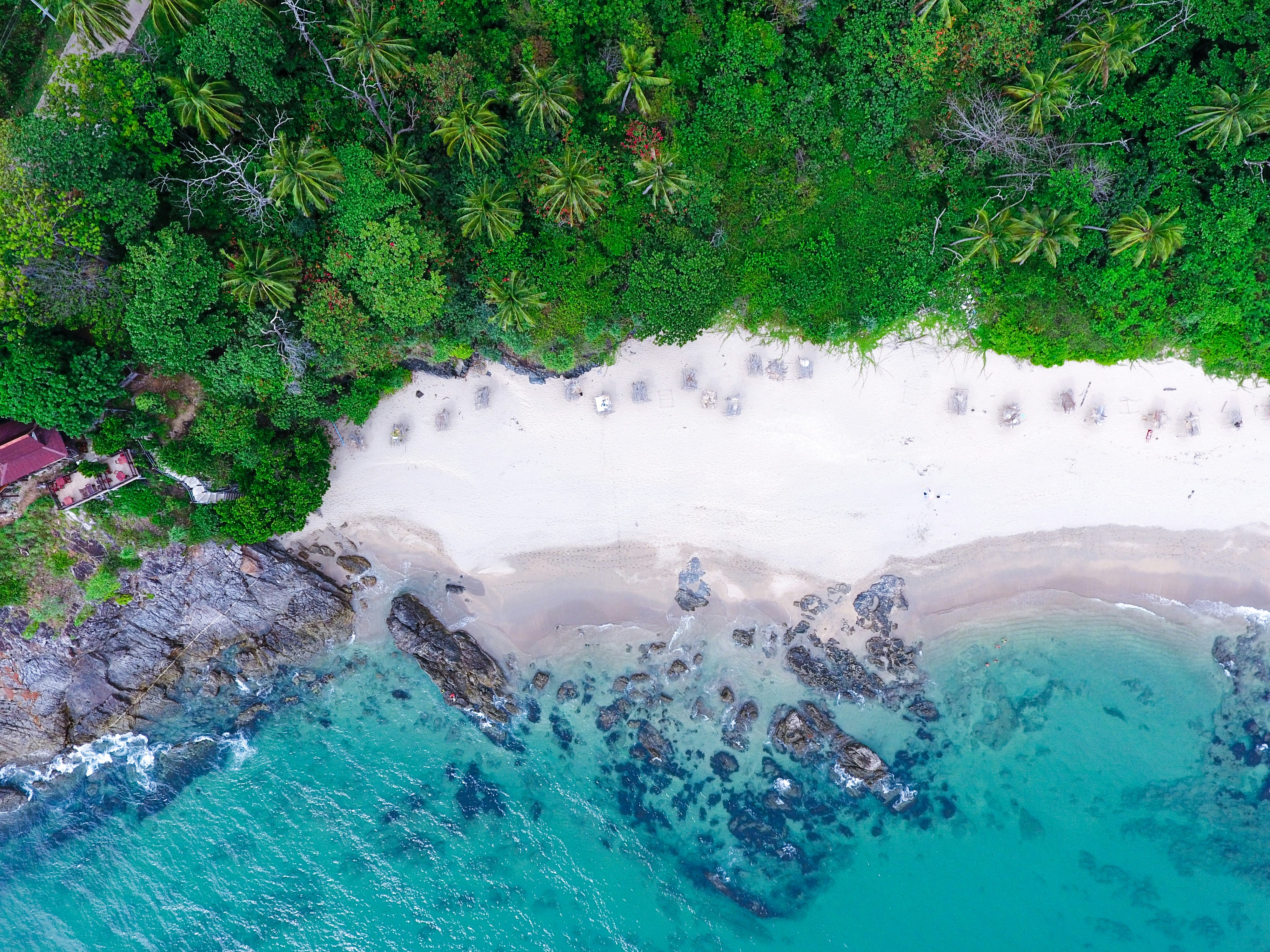 Aerial View of Tropical Beach