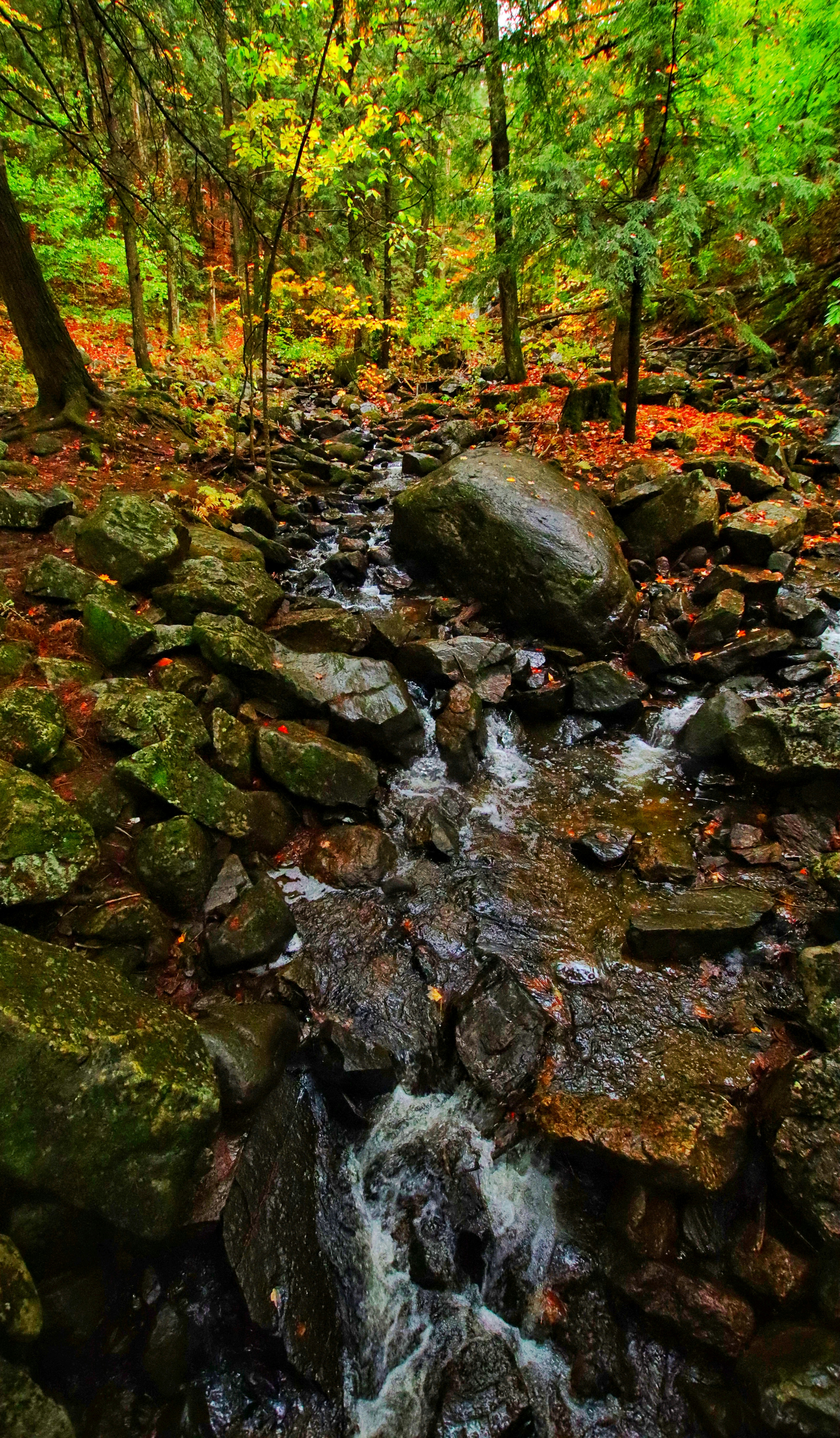 Wallpapers