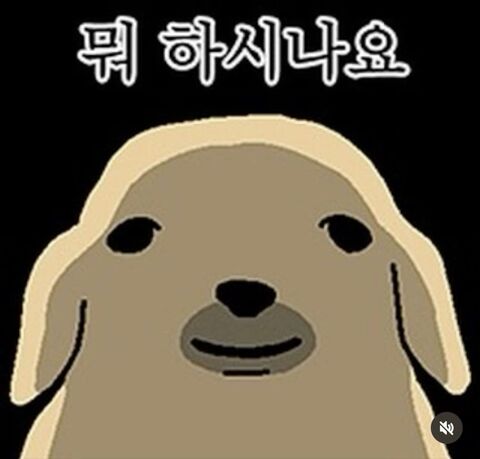 Staring Dog Meme with Korean Text