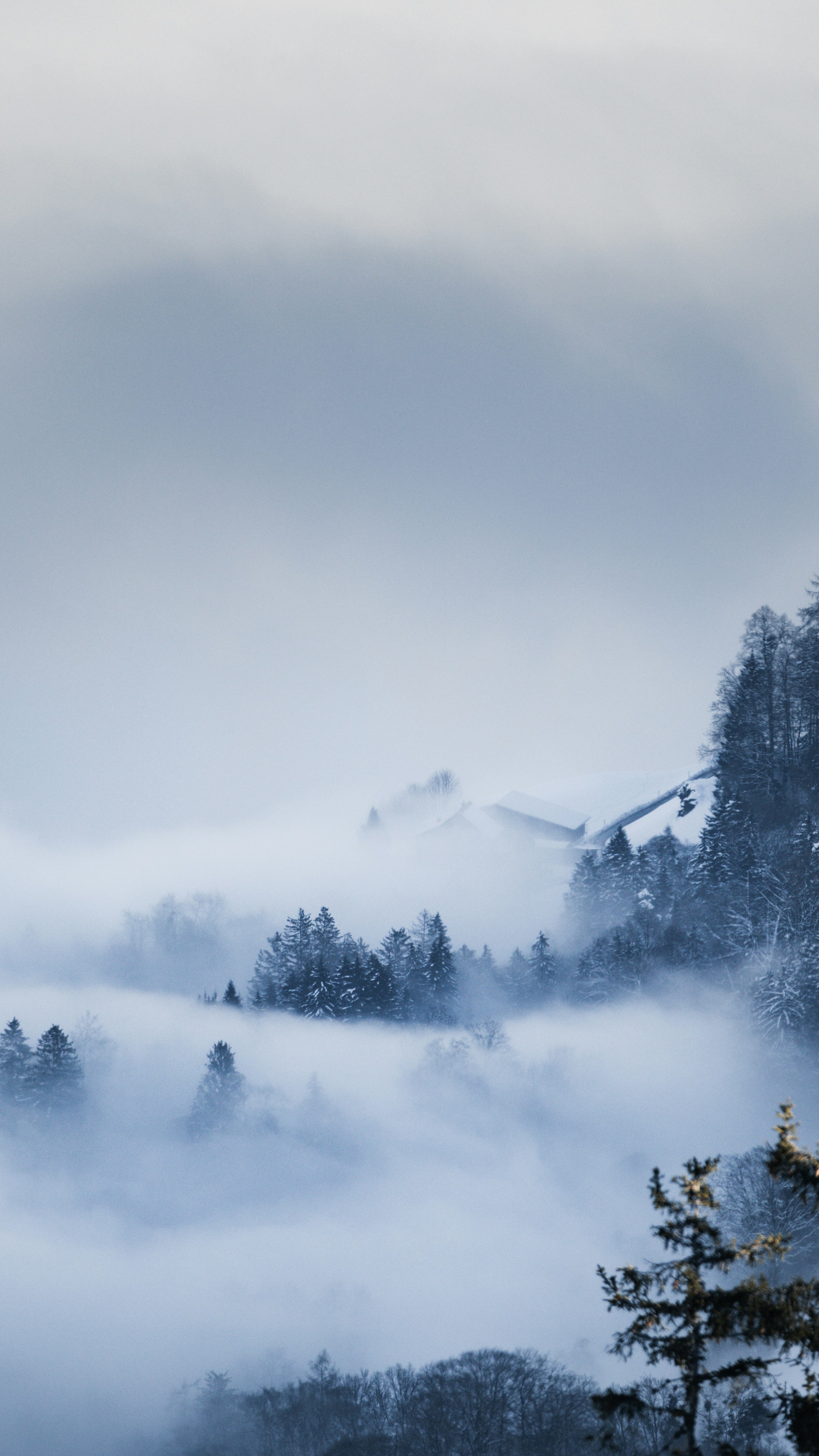 Wallpapers