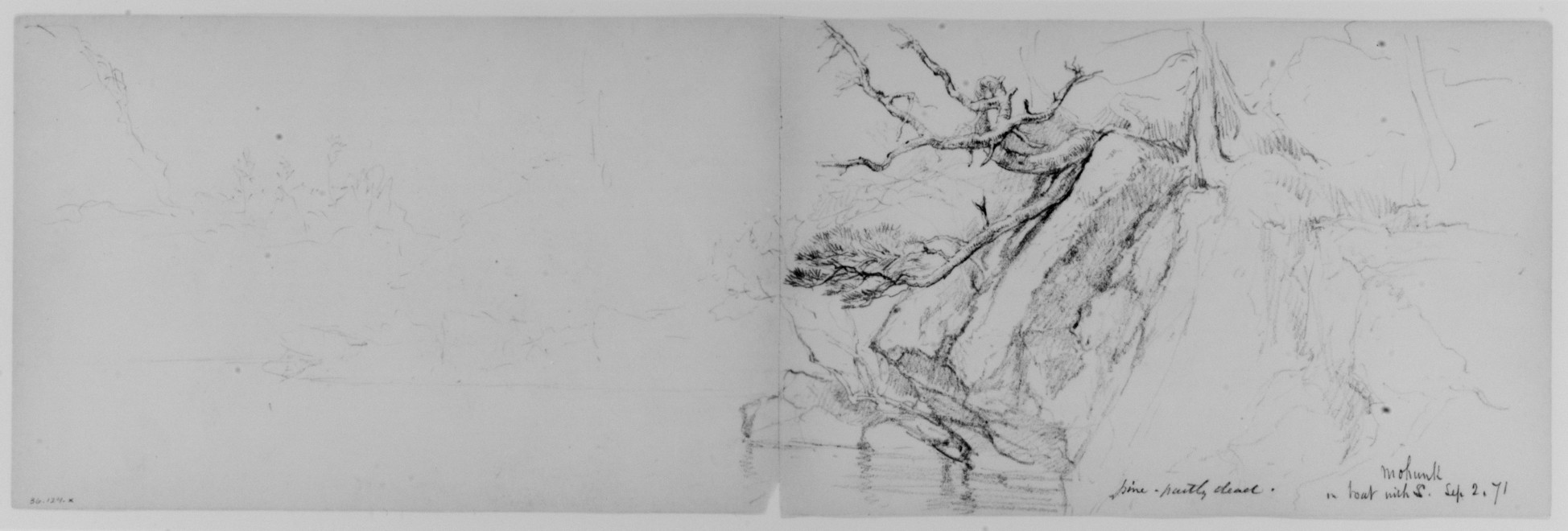 Pencil Sketch of Mohonk Shore Pine