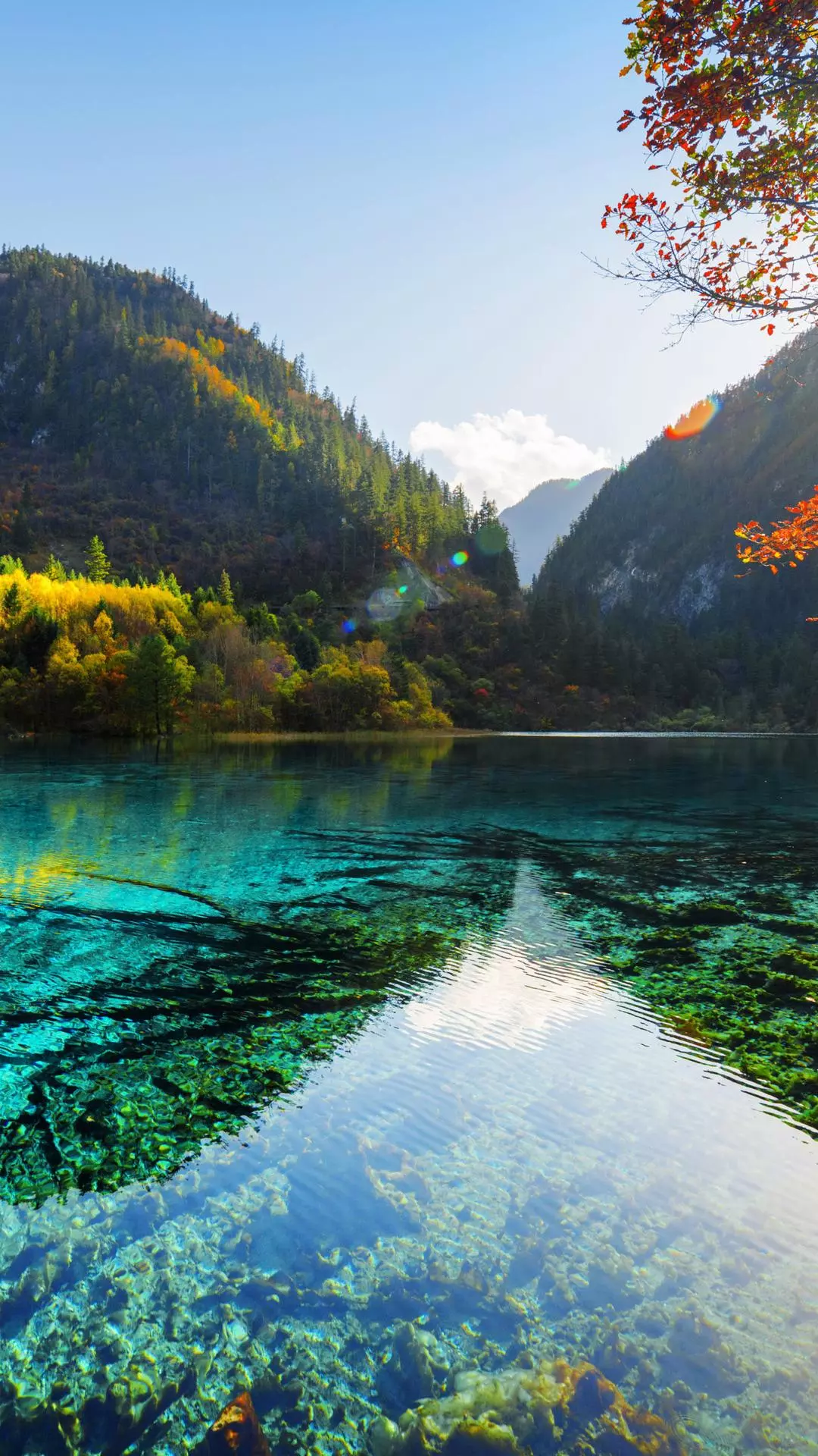 Landscapes