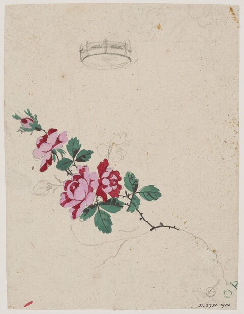 Rose Branch Watercolor Sketch