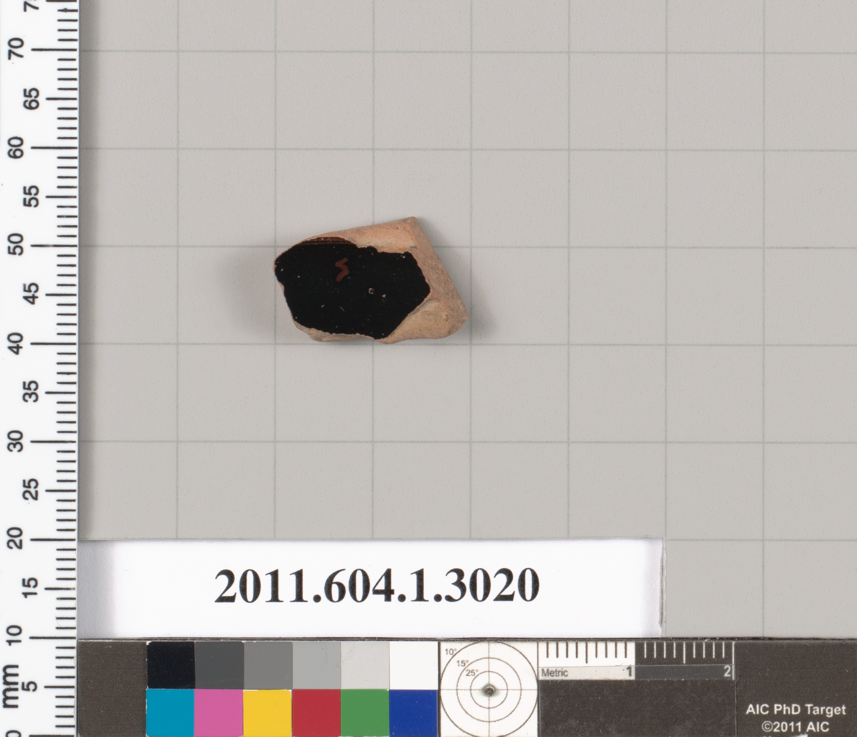 Archaeological Pottery Shard Specimen