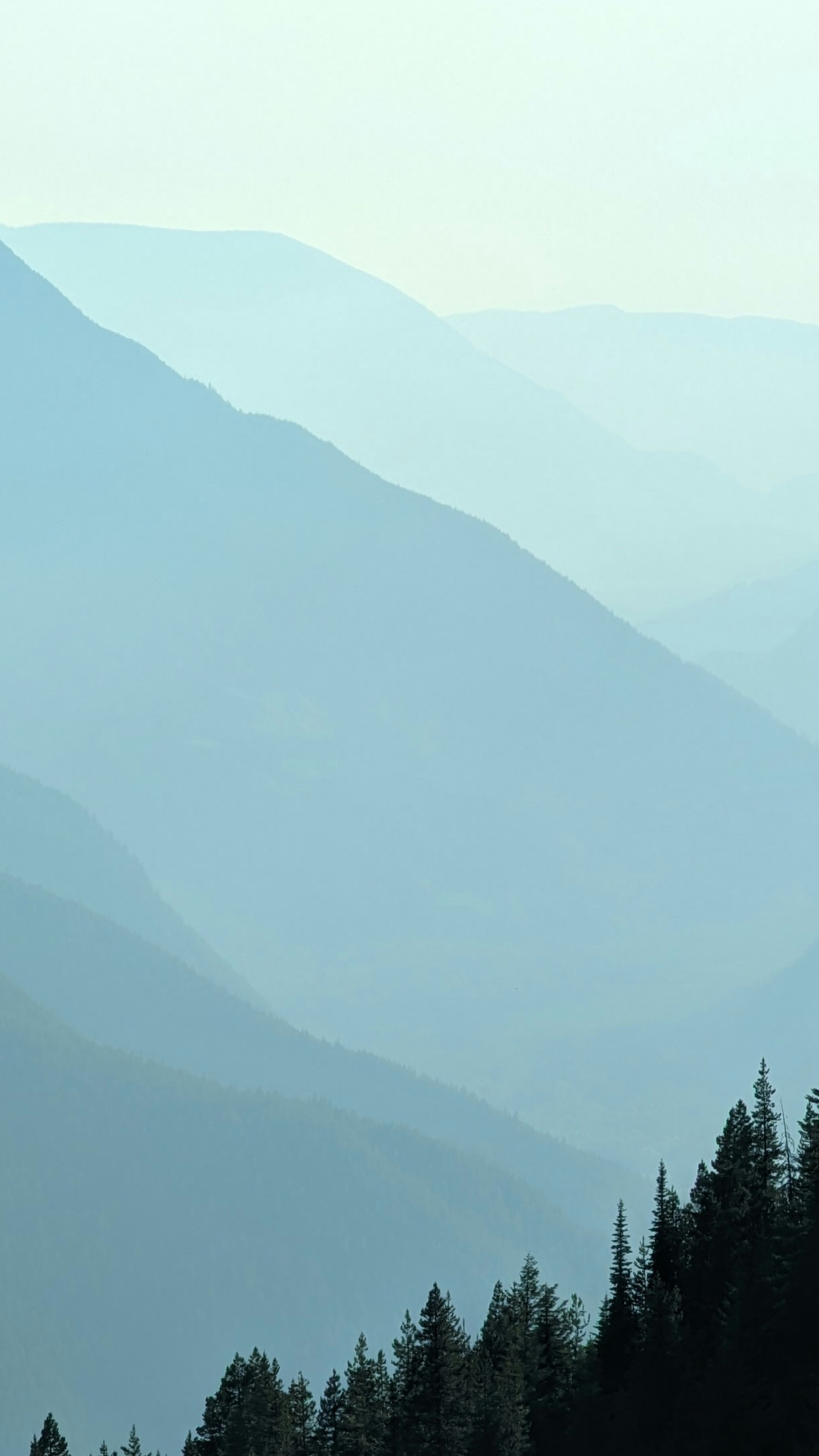 Landscapes