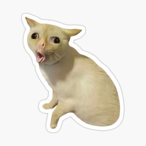 Surprised Meme Cat Sticker