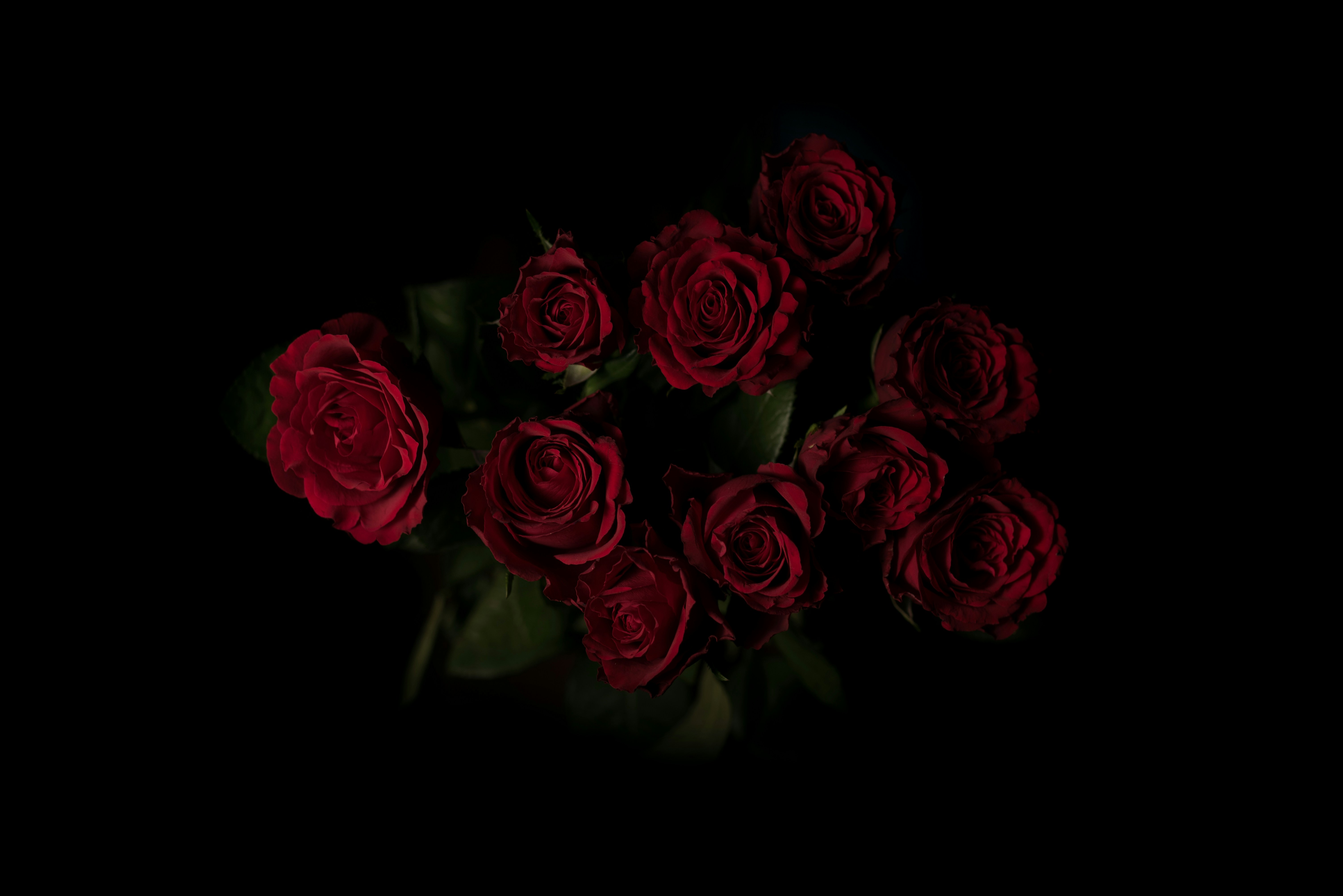 Red Rose Bouquet on Black Background