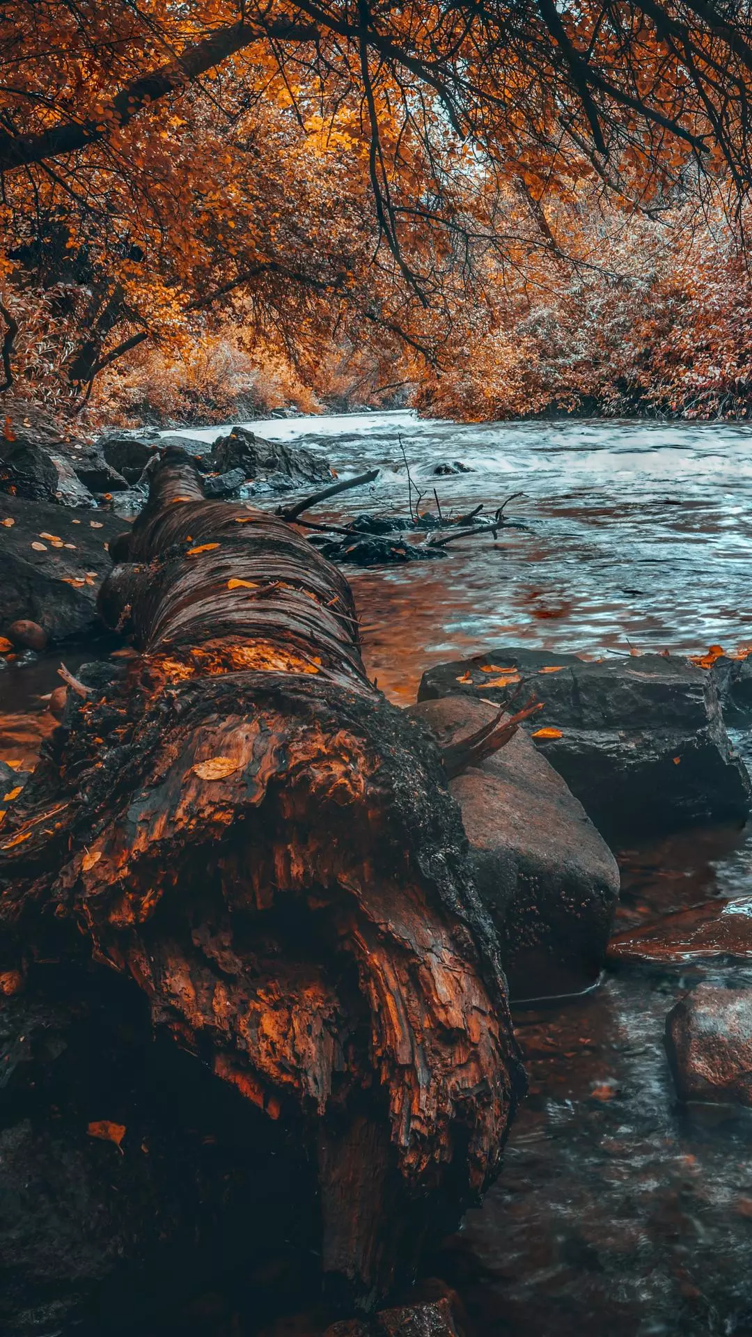 Wallpapers
