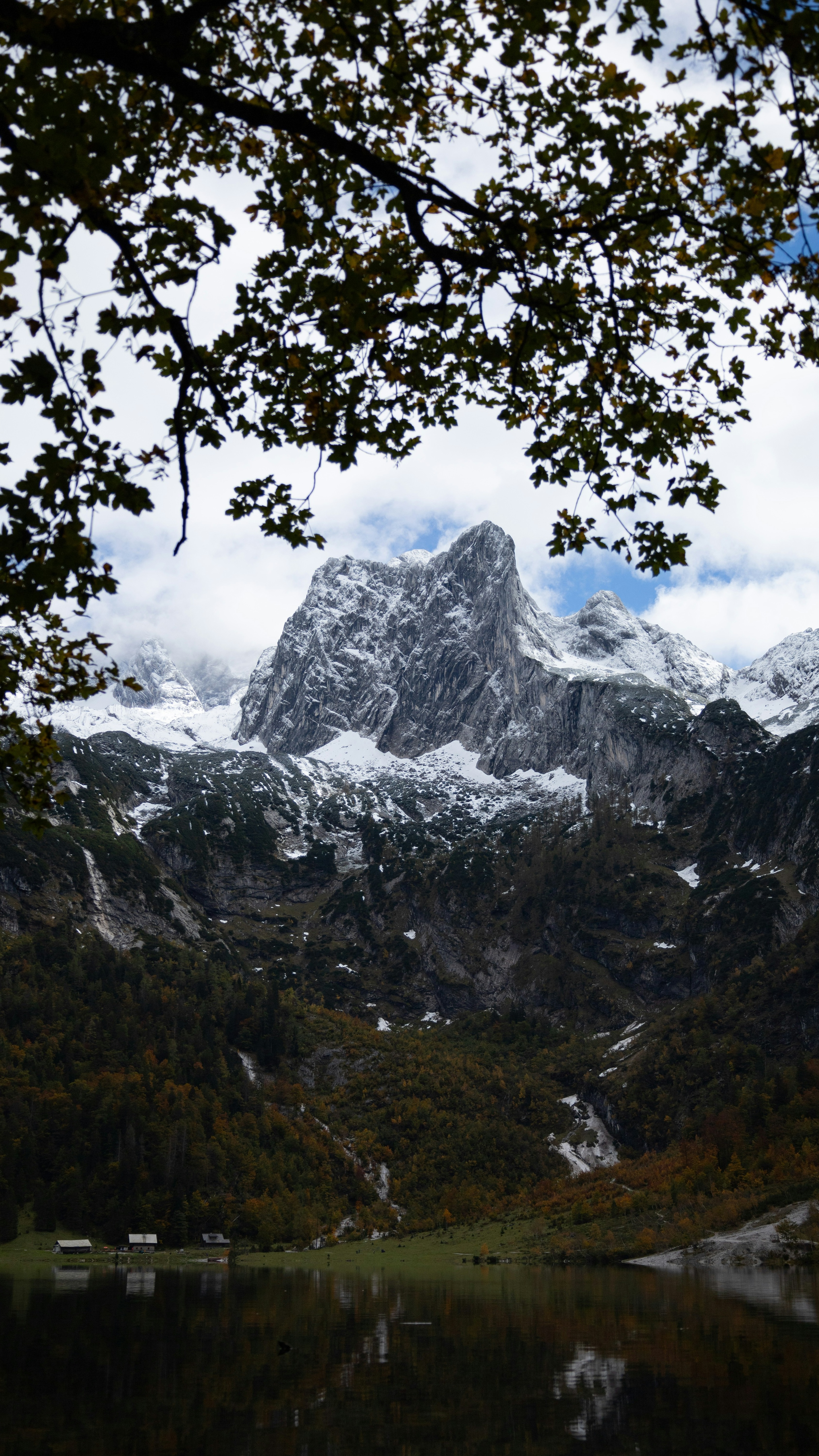 Image 1549351 — Nature