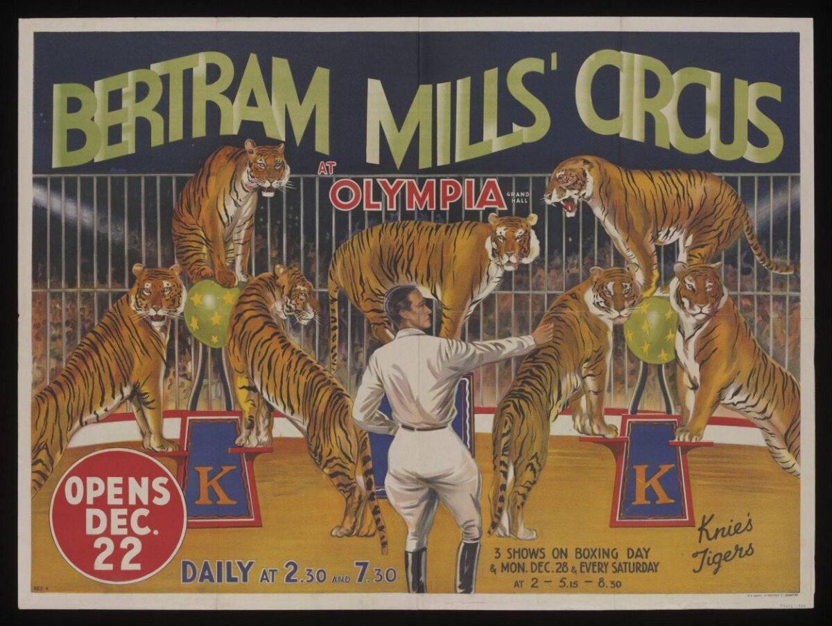 Bertram Mills Circus Tiger Act Poster
