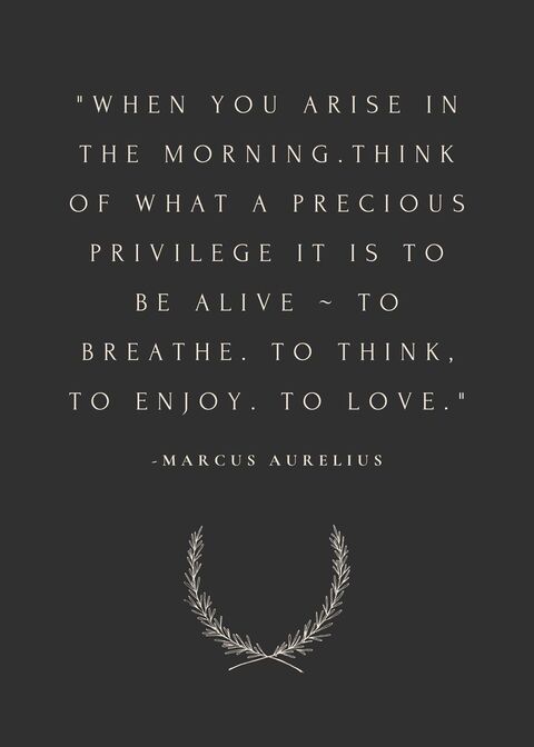 Marcus Aurelius Quote on Being Alive