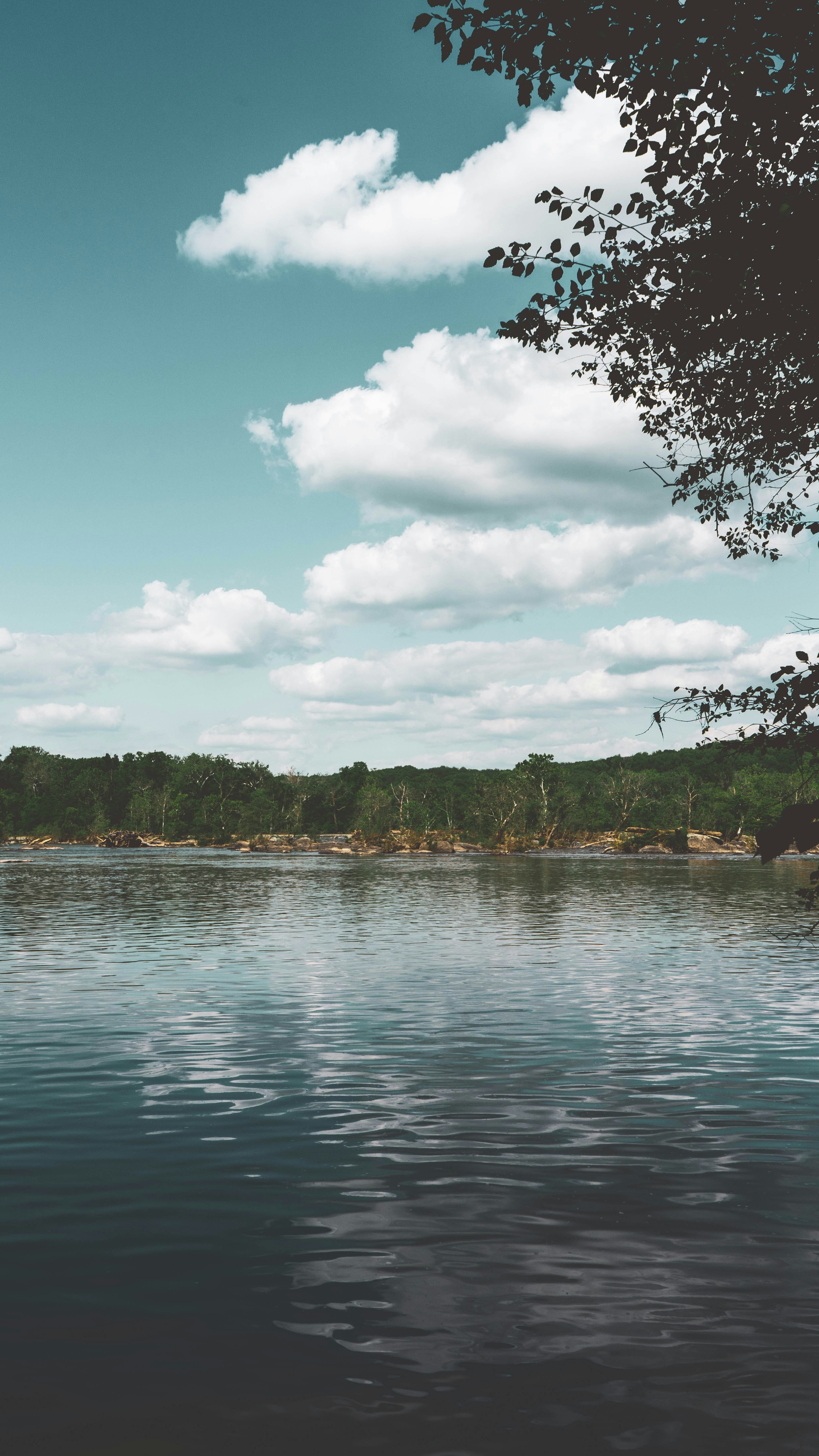 Calm River Forest Landscape