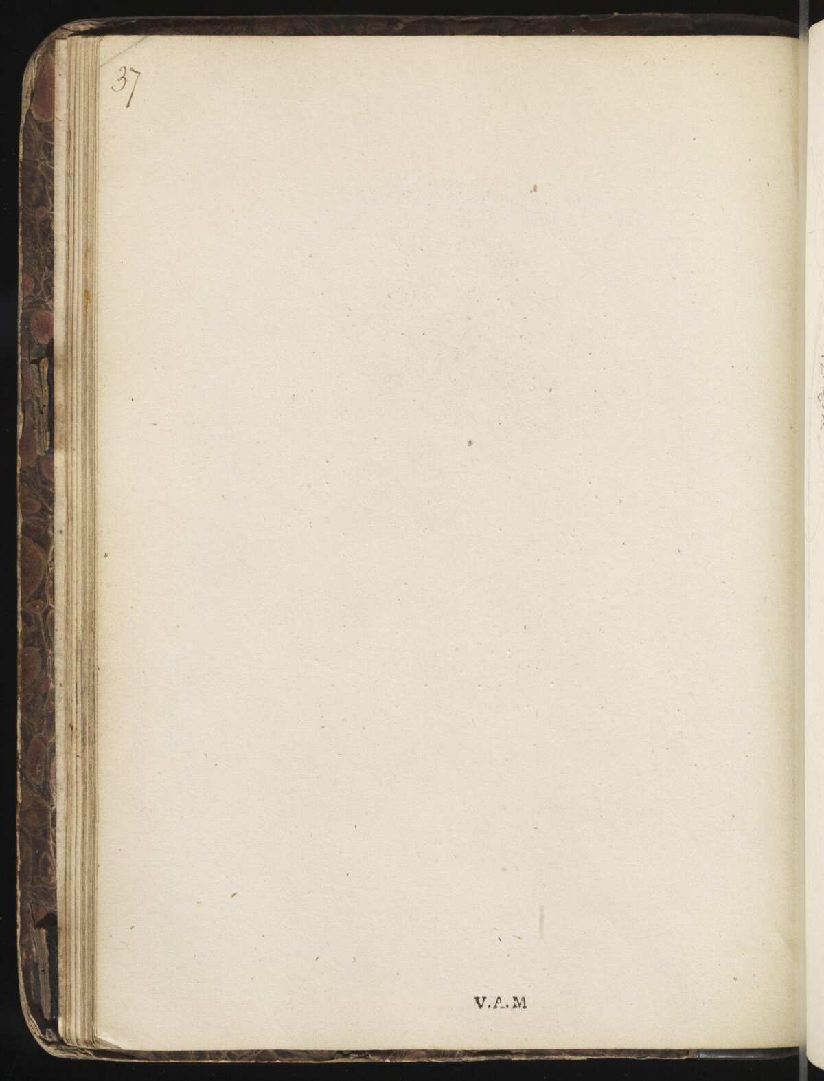 Blank Page 37 of Old Bound Notebook