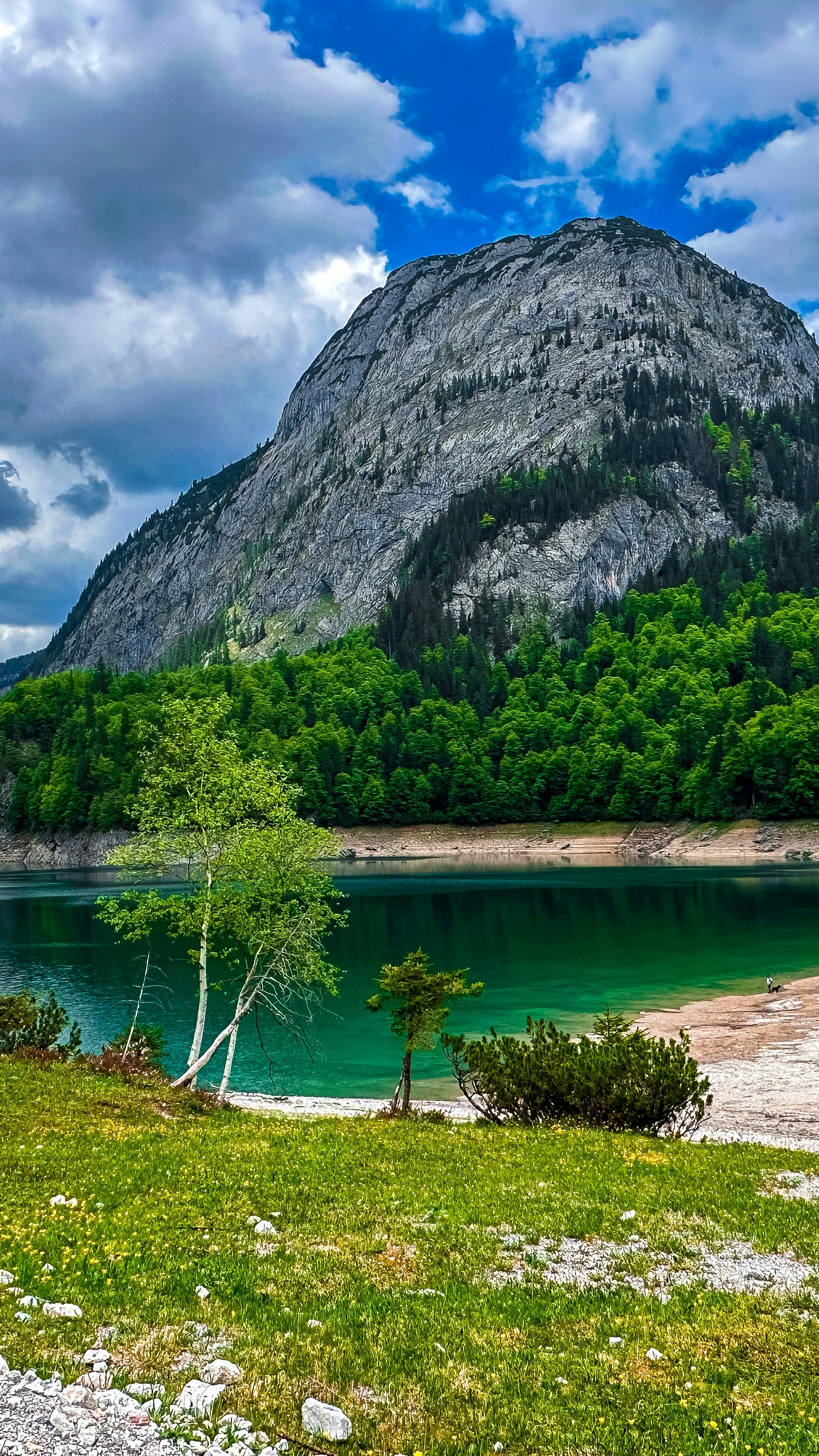 Landscapes