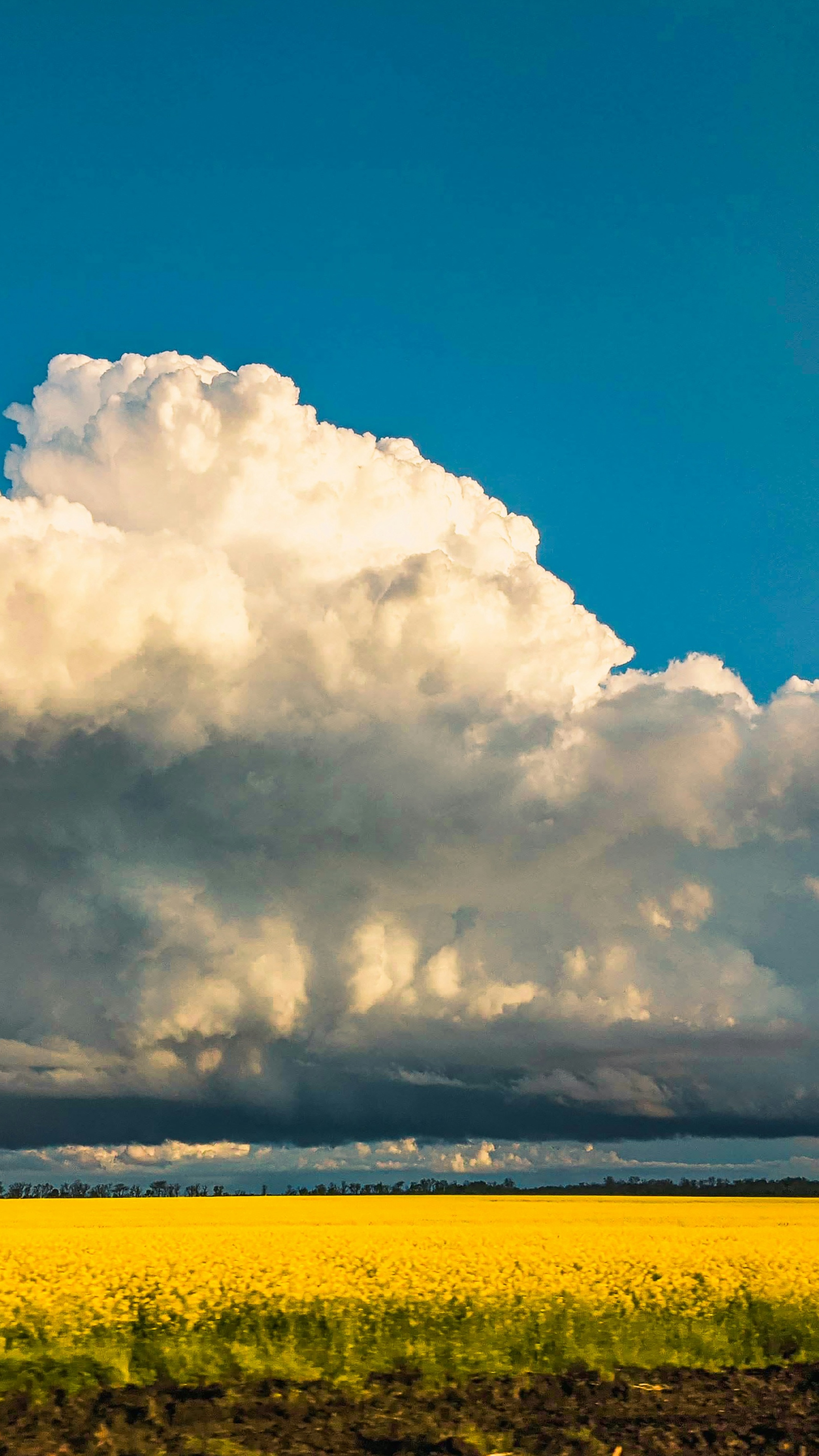 Sky Series