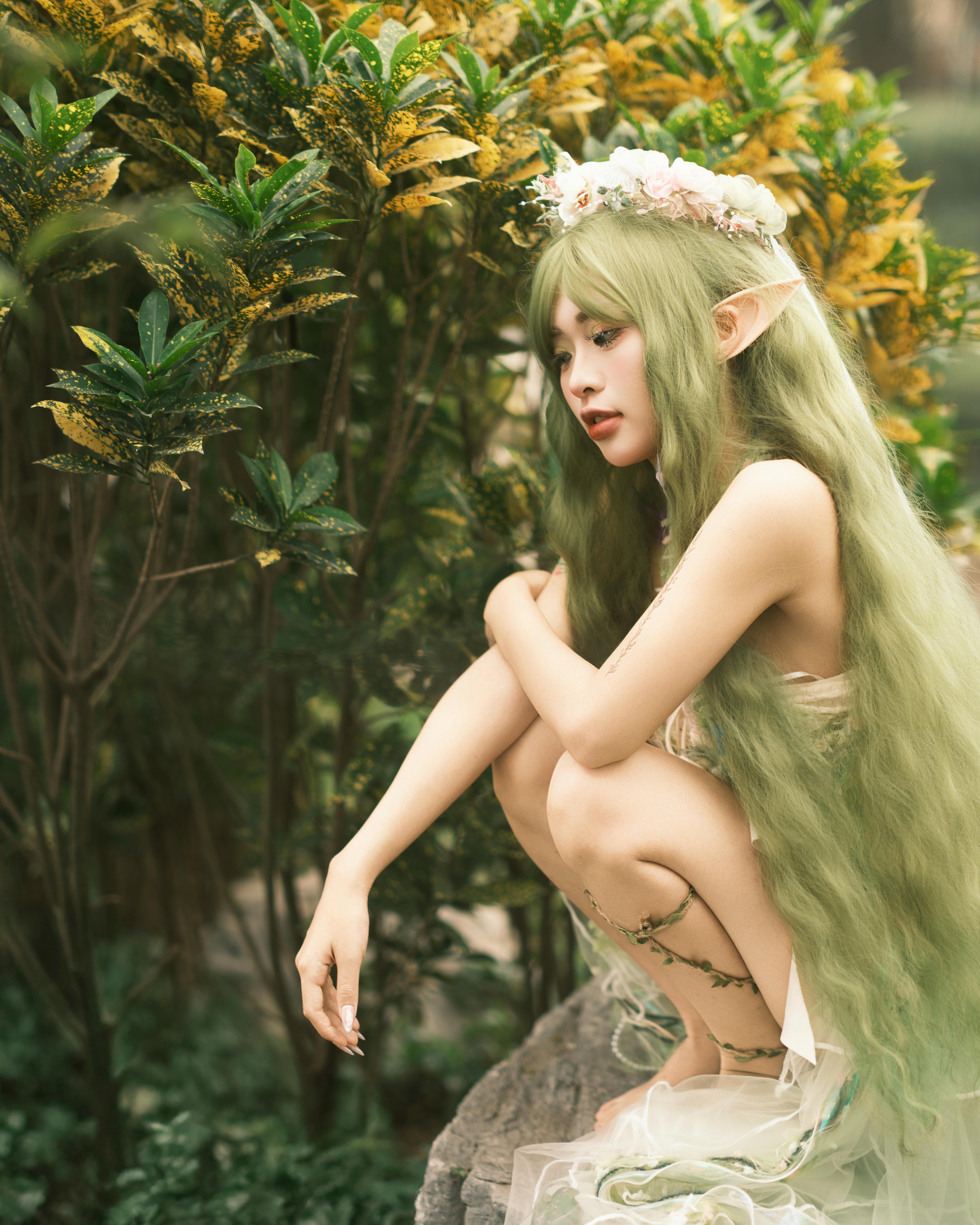 Forest & Flora