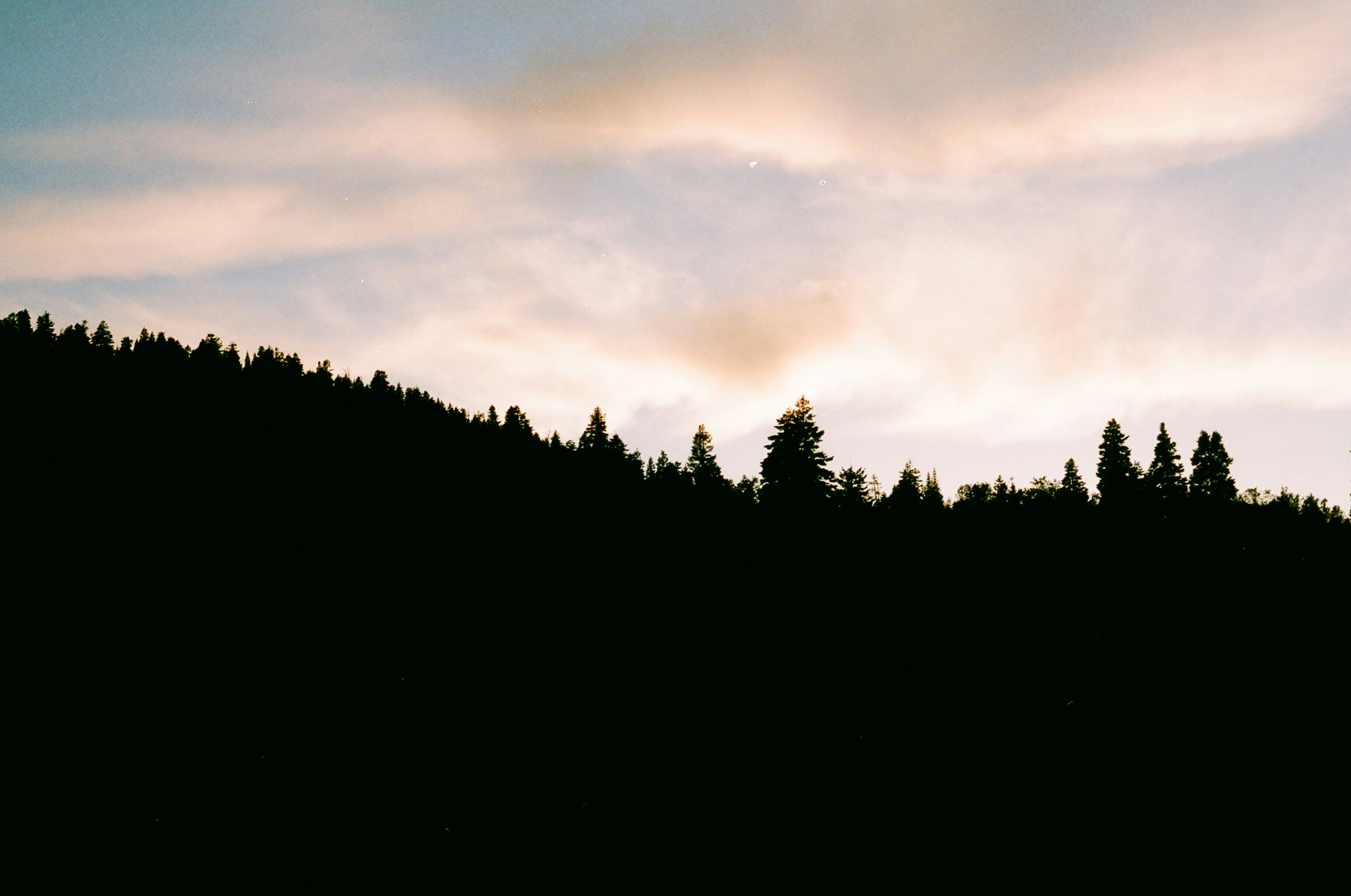 Silhouetted Forest Hill at Dusk