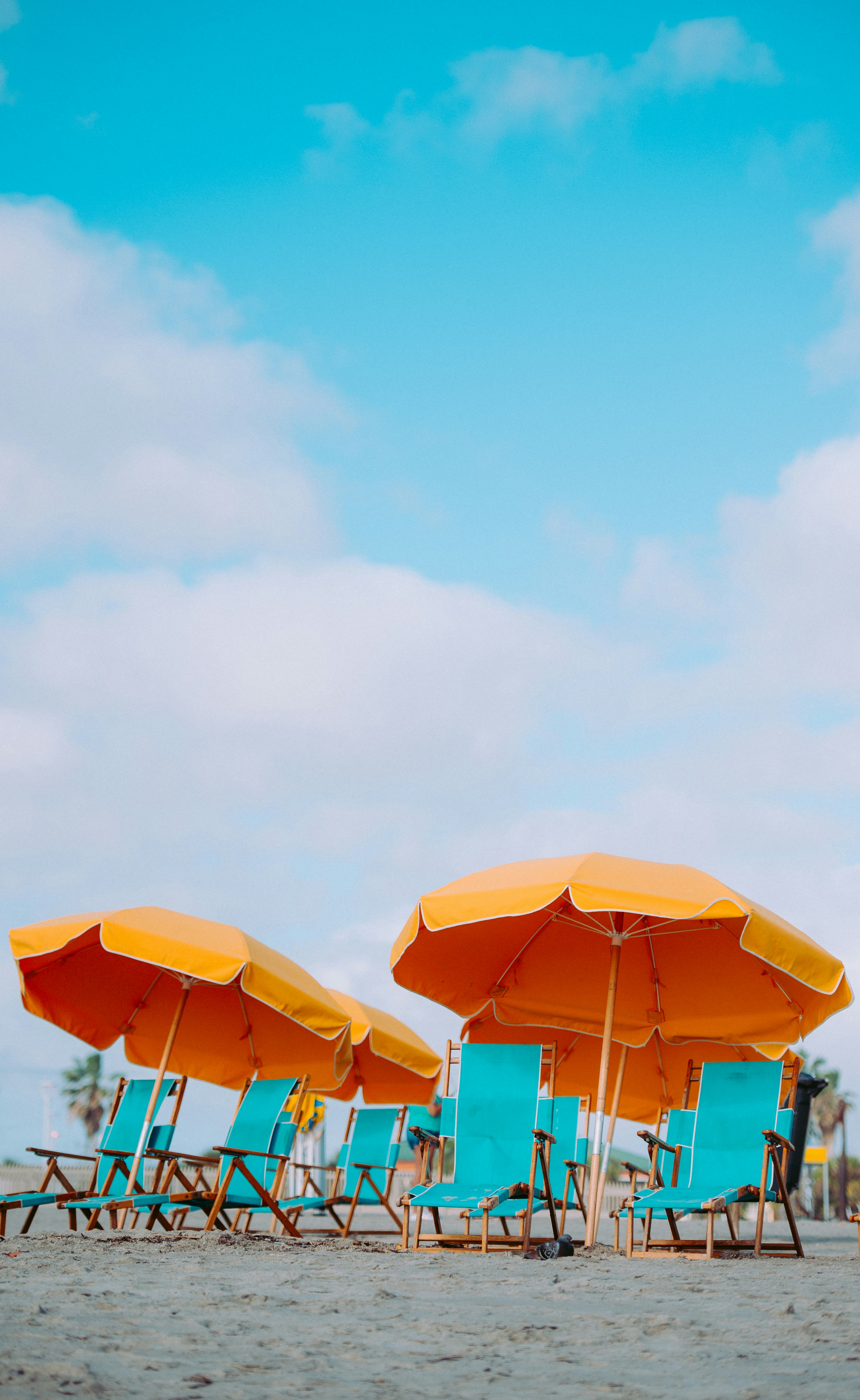 Beach Lounge Chairs Under Yellow Umbrellas