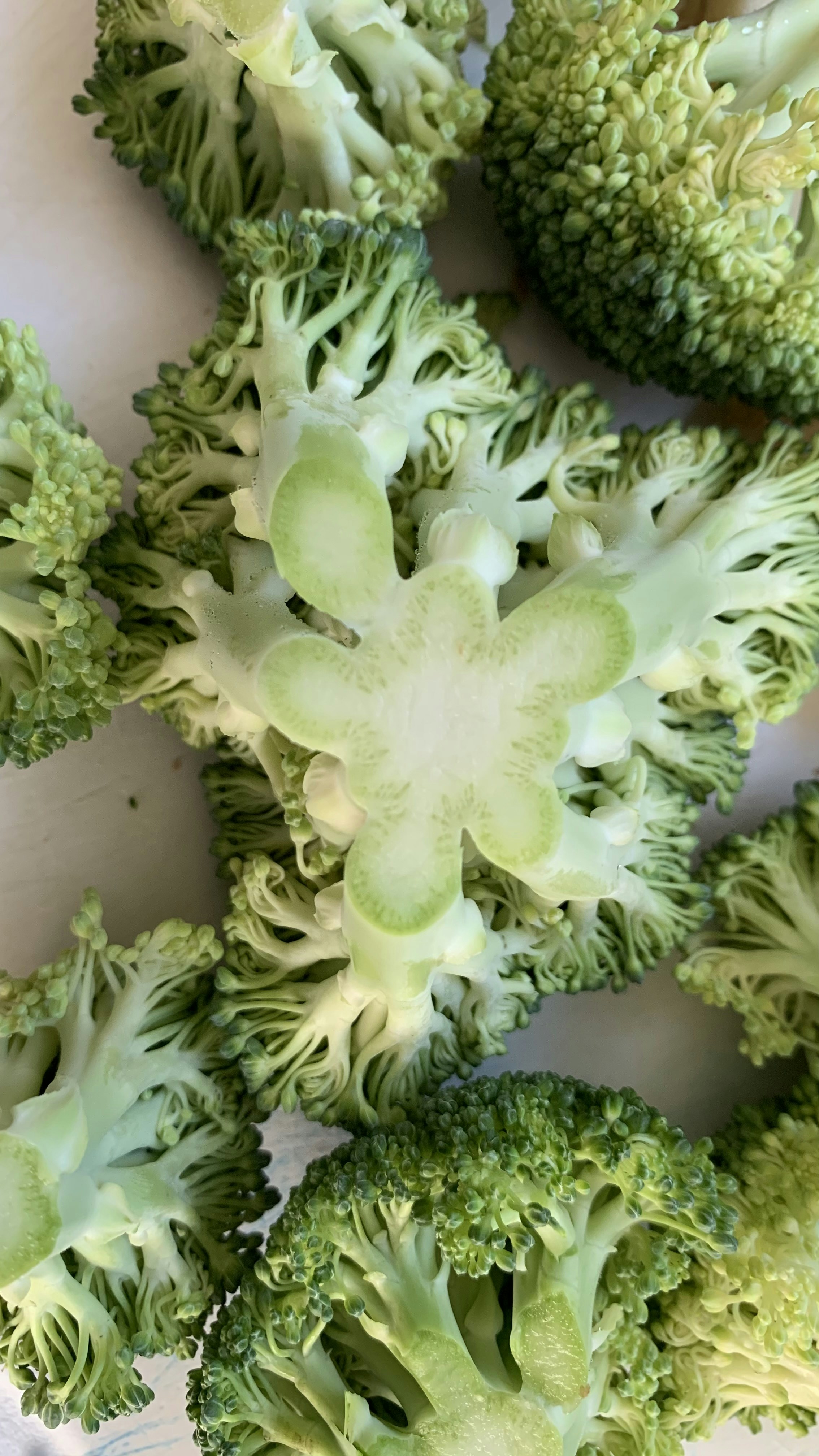 Fresh Cut Broccoli Florets