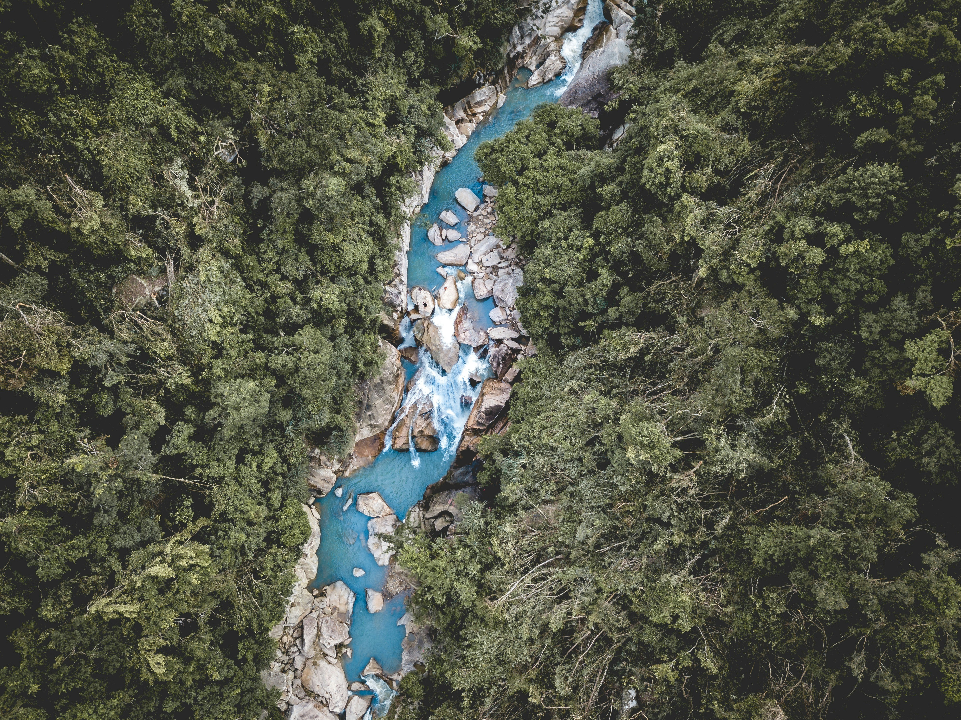 Aerial View of Forest Canyon Stream