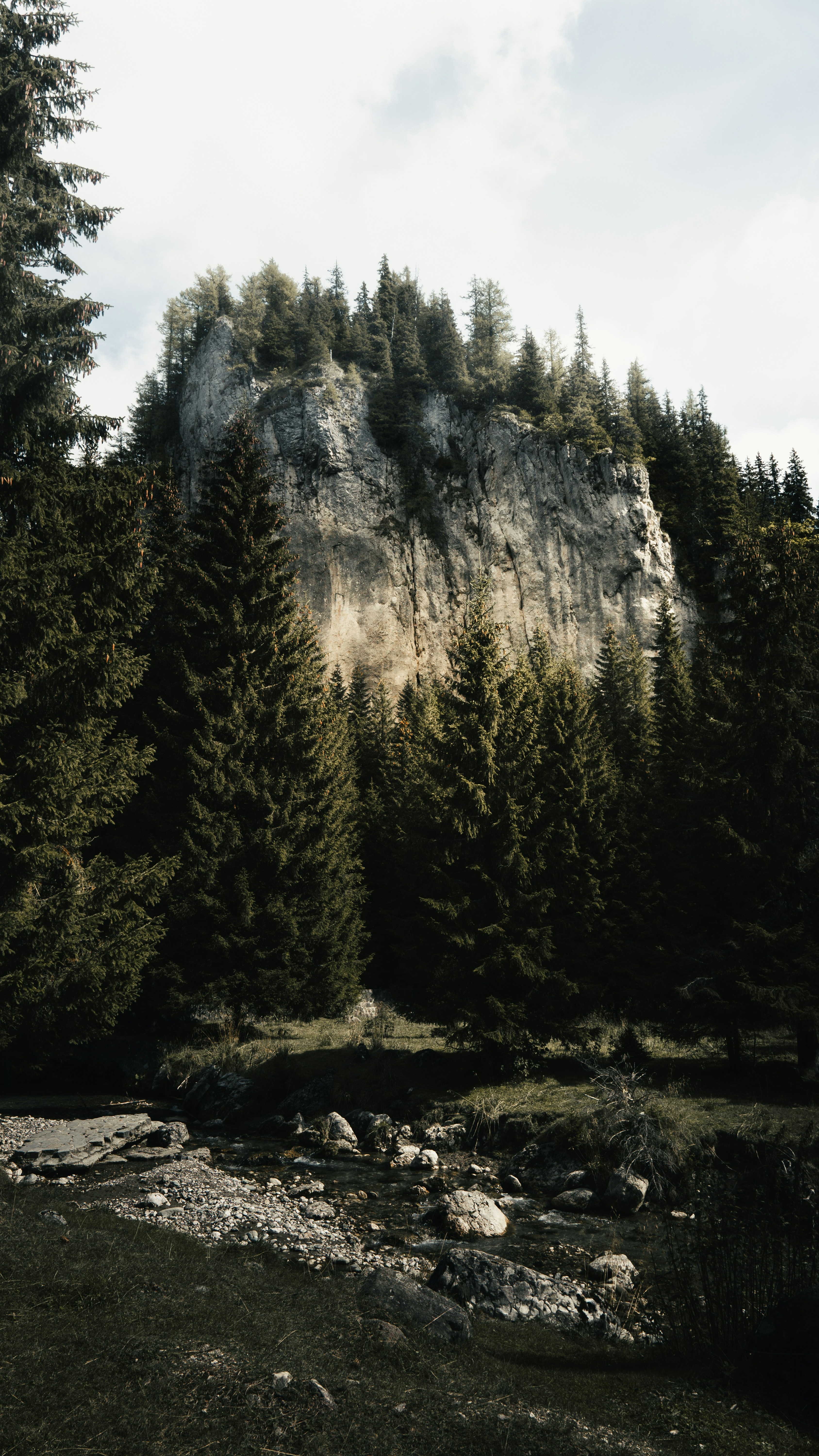 Rocky Cliff Above Forest Stream