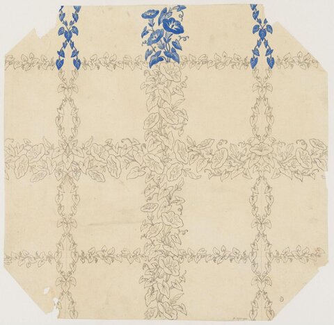 Morning Glory Textile Pattern Sketch