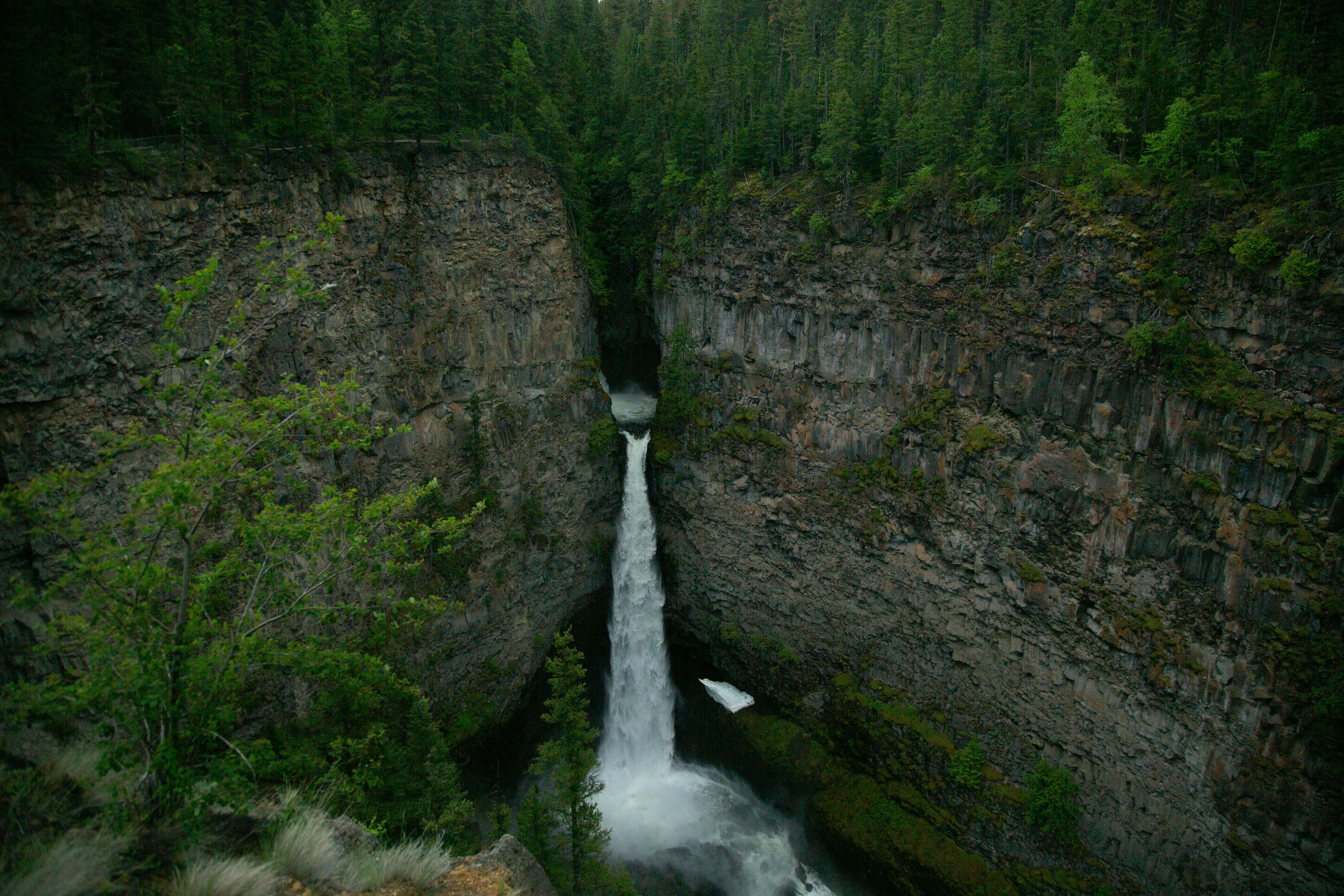 Waterfall in Narrow Forest Canyon