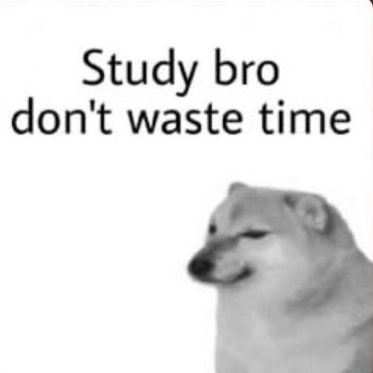 Study Bro Don't Waste Time Meme
