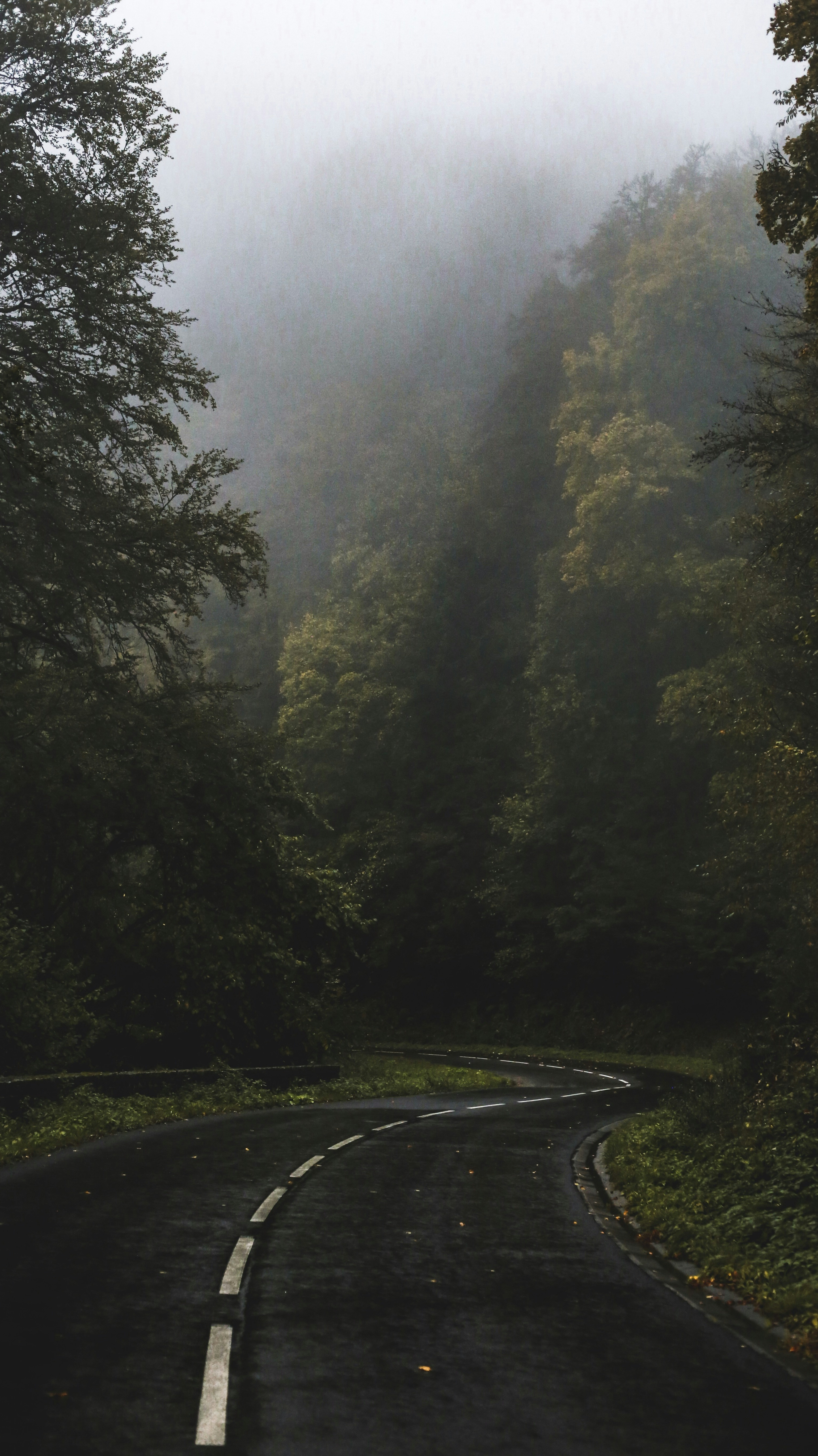 Wallpapers