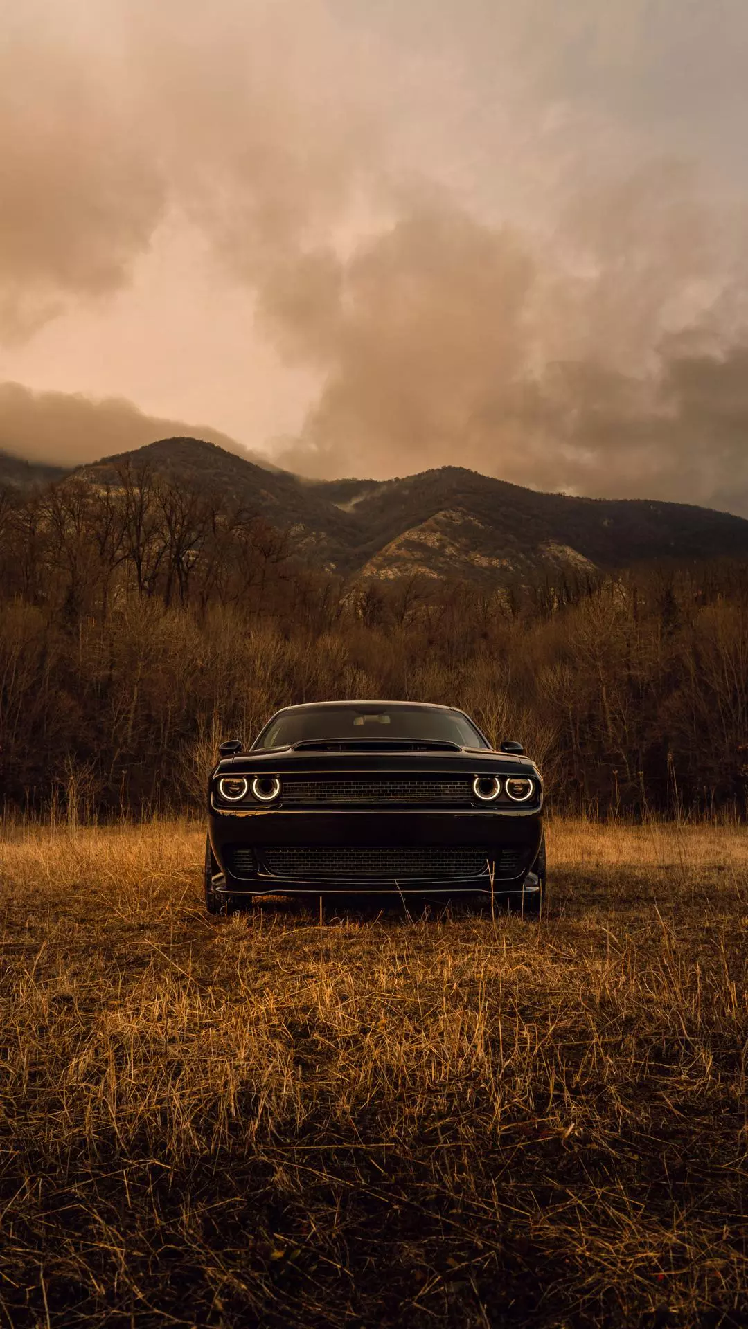 Wallpapers