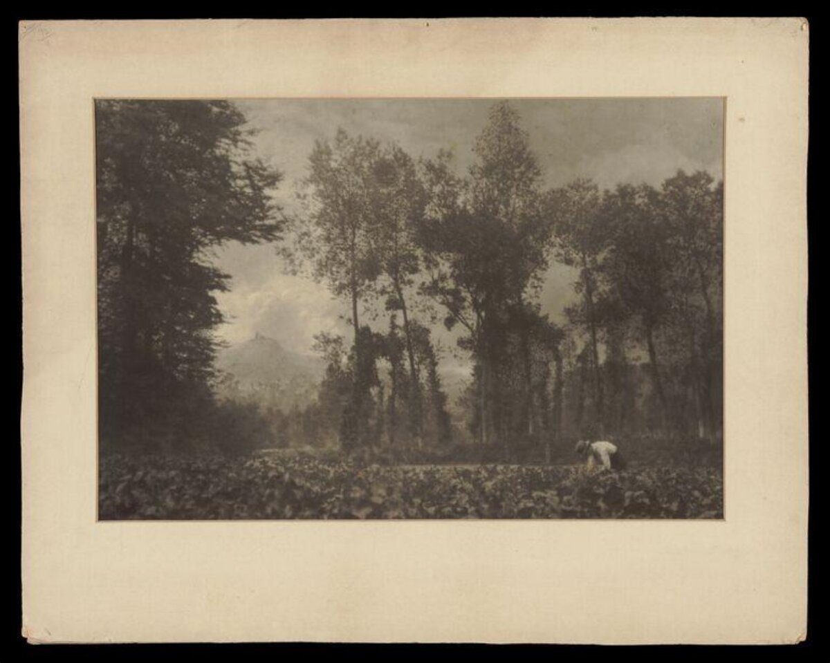 Vintage Rural Landscape with Farm Worker