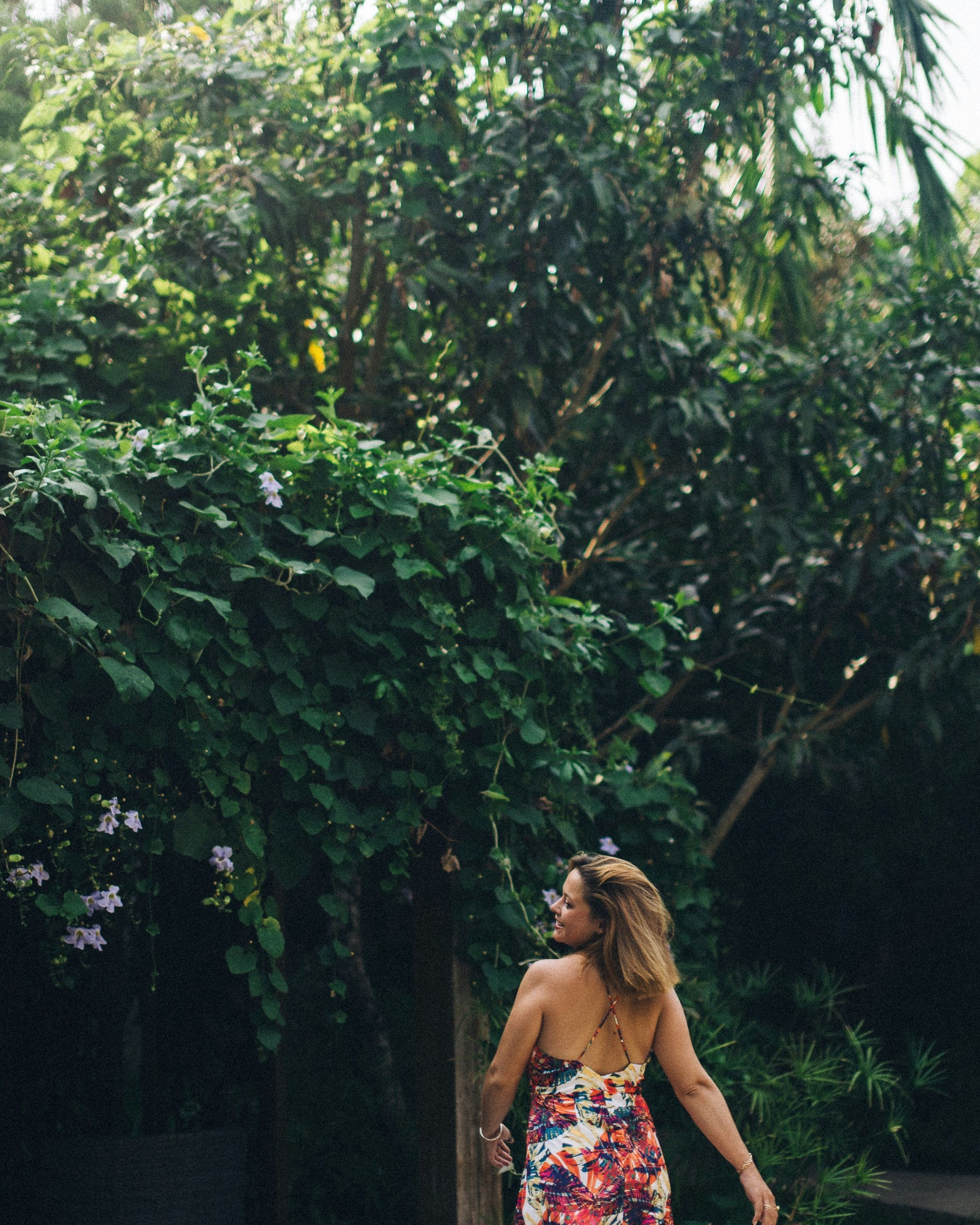 Forest & Flora