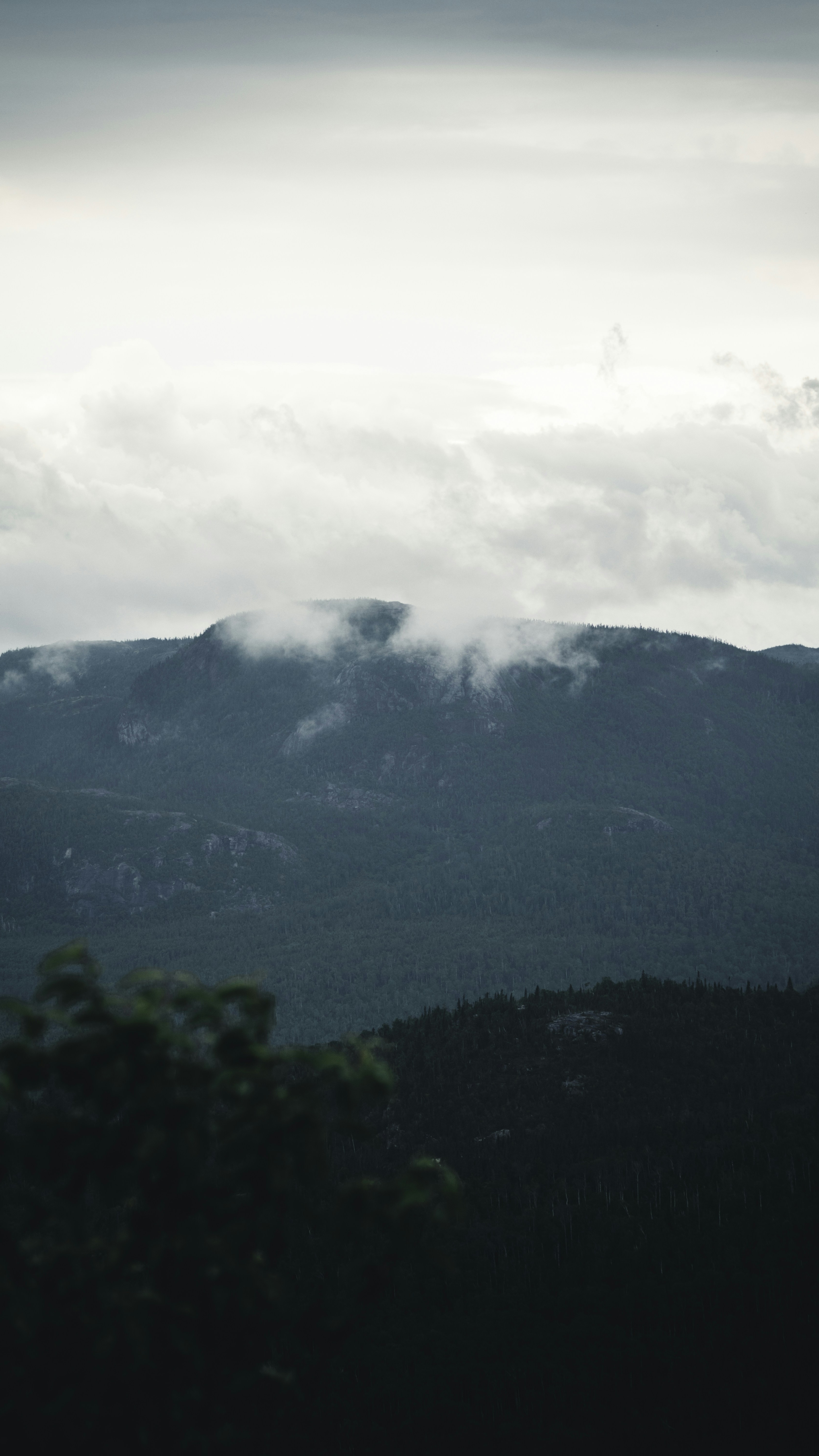 Landscapes