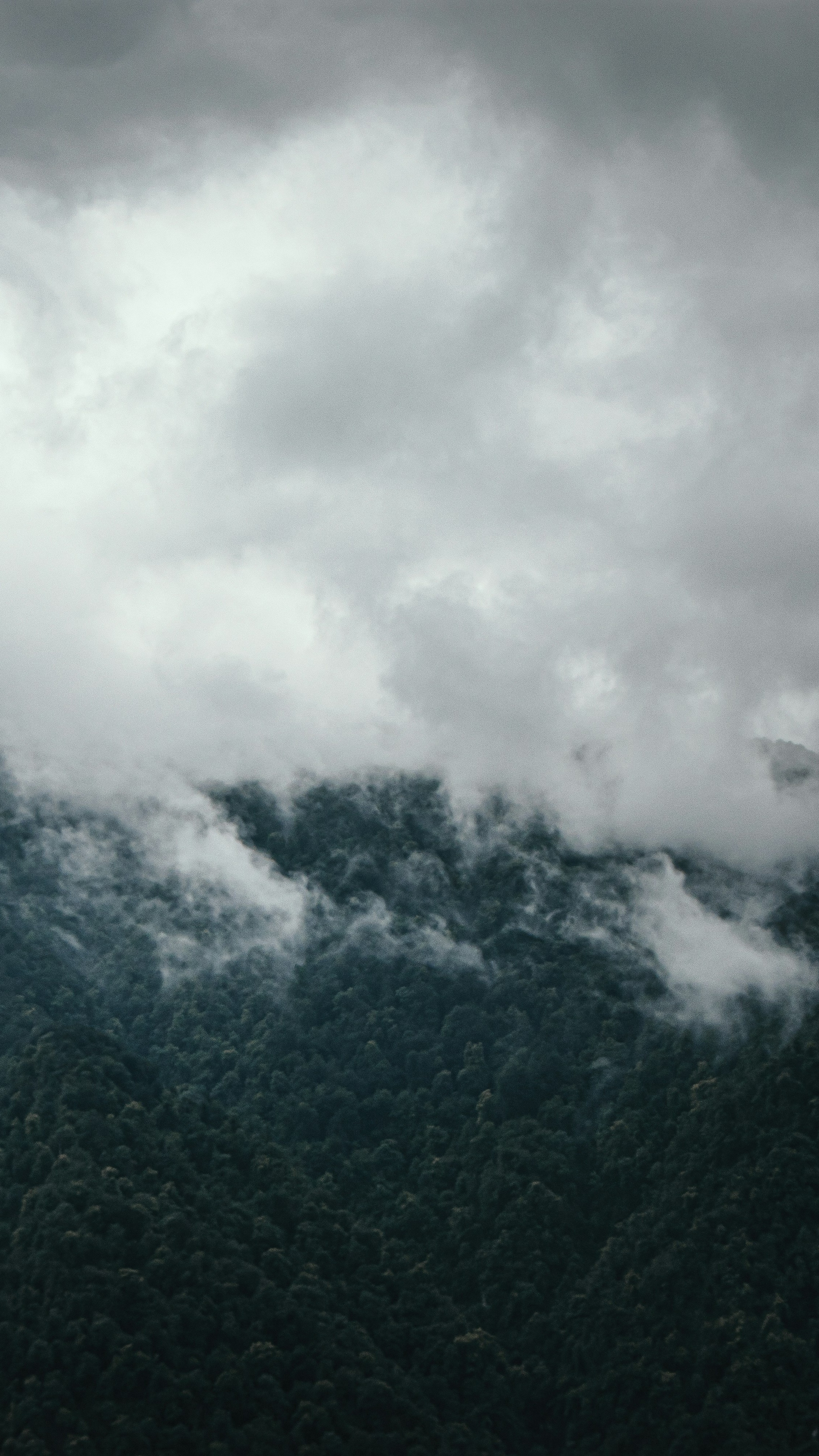 Cloud Covered Forested Mountain Slope