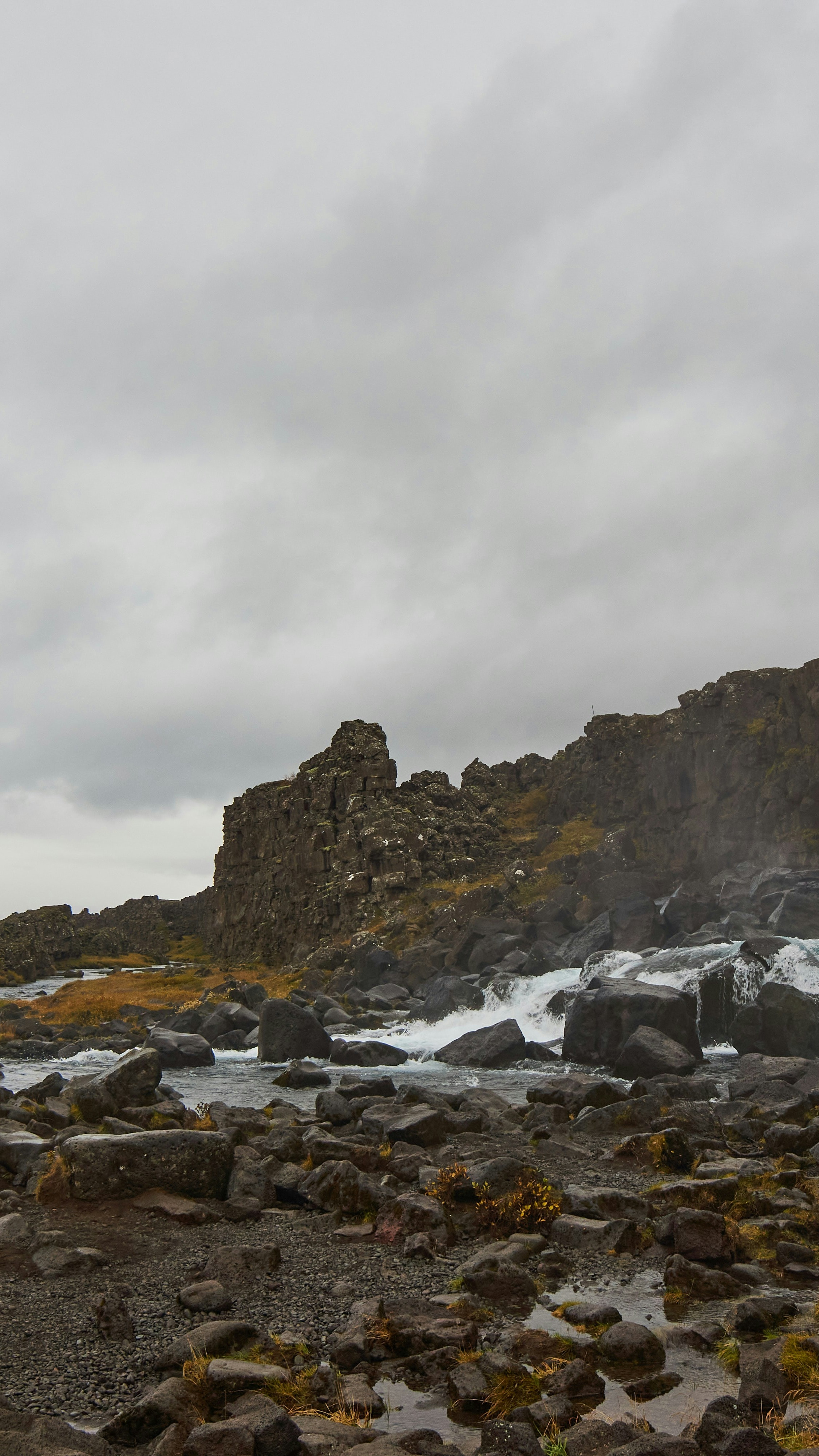 Image 1570637 — Nature