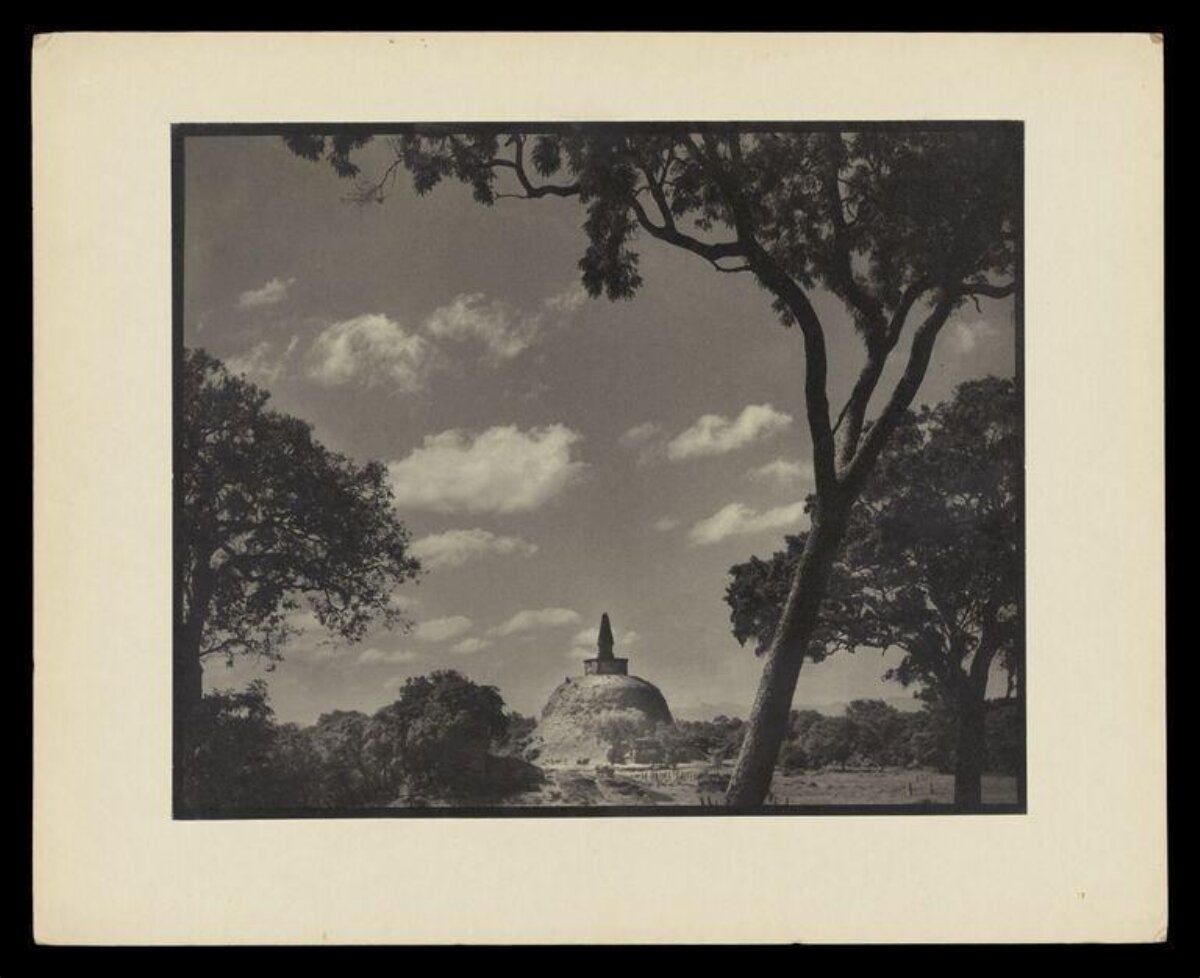 Ancient Stupa Framed by Trees