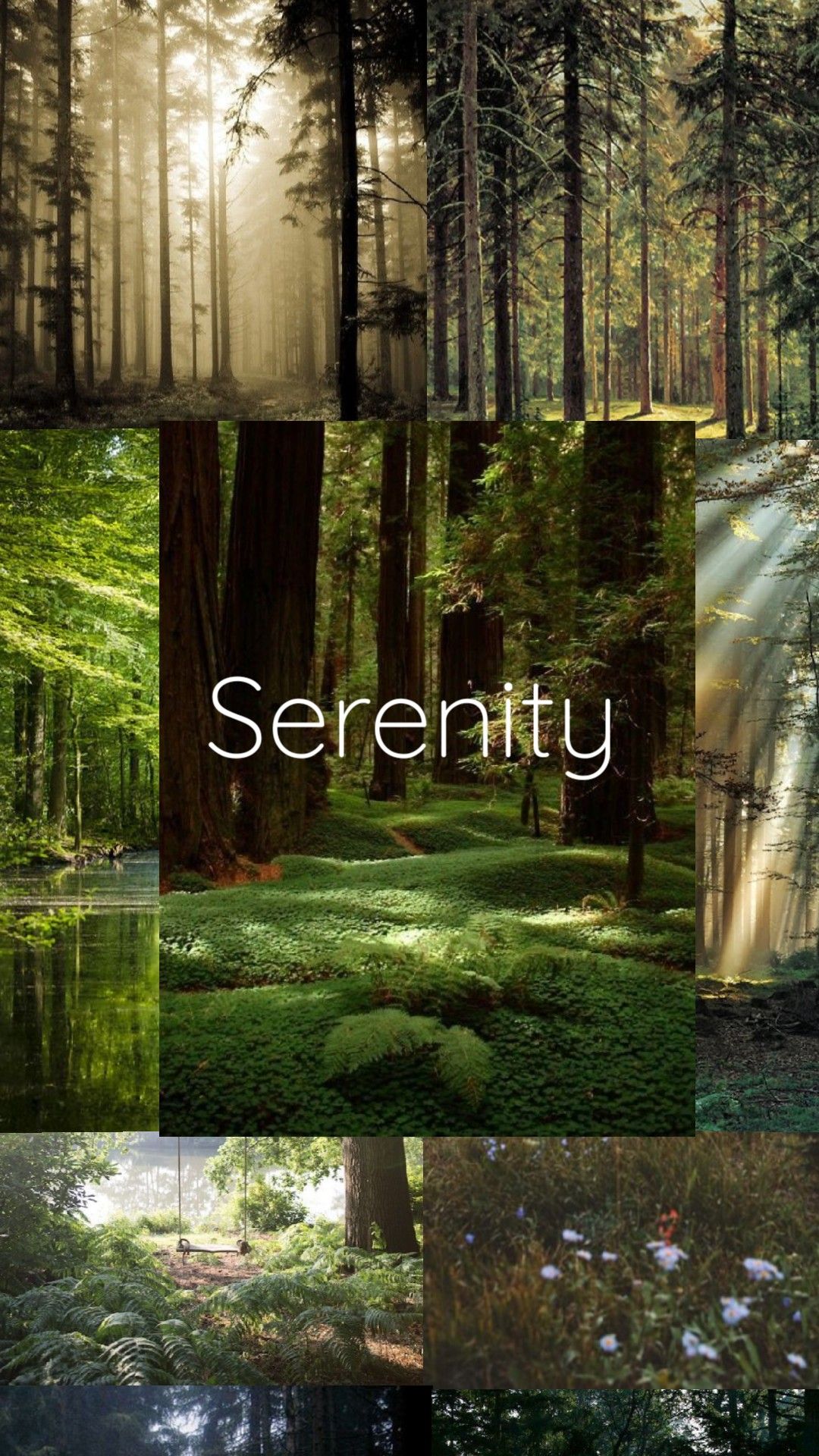 Wallpapers