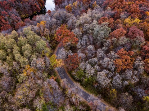 Aerial Autumn Forest Road