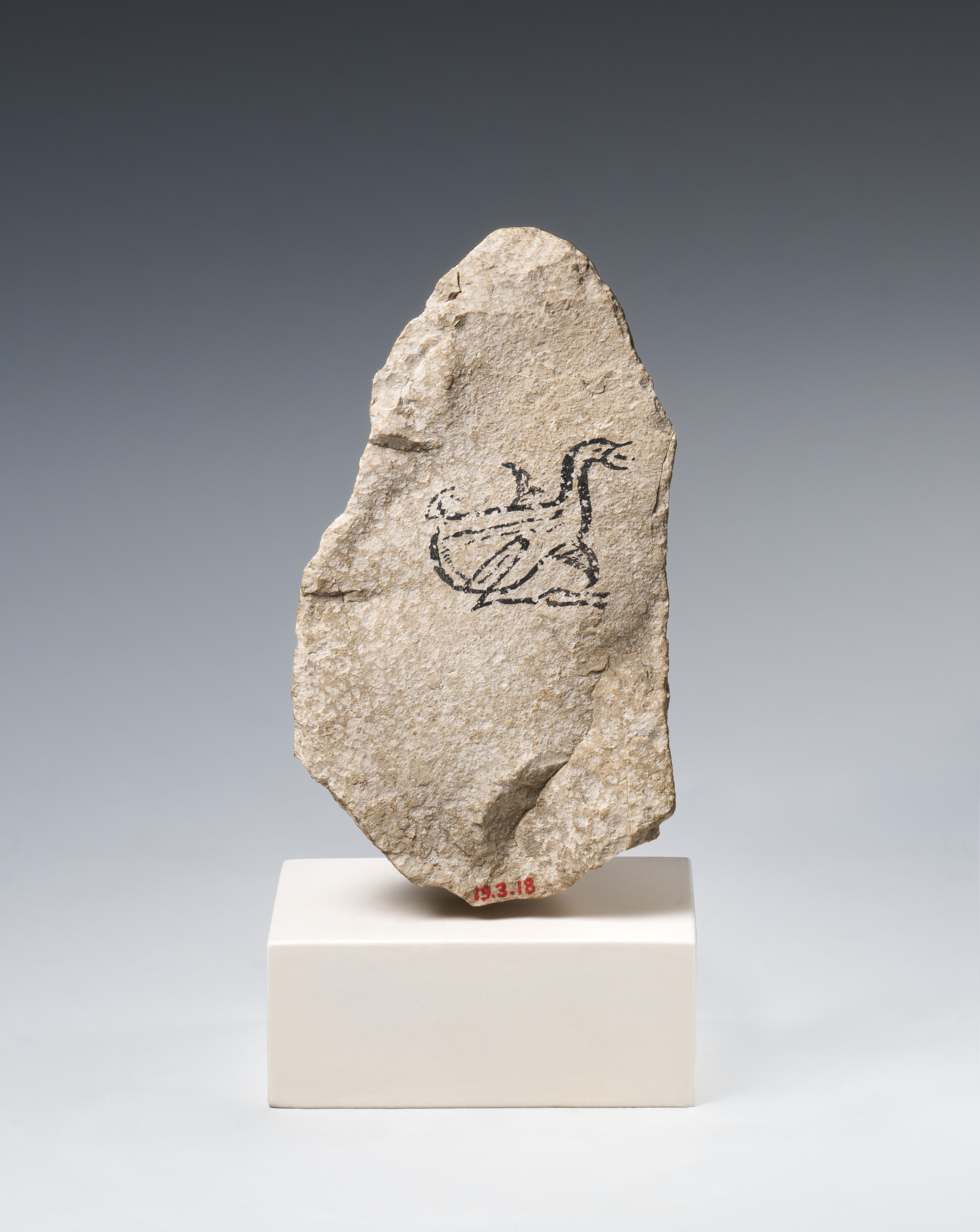 Stone Ostracon With Goose Drawing