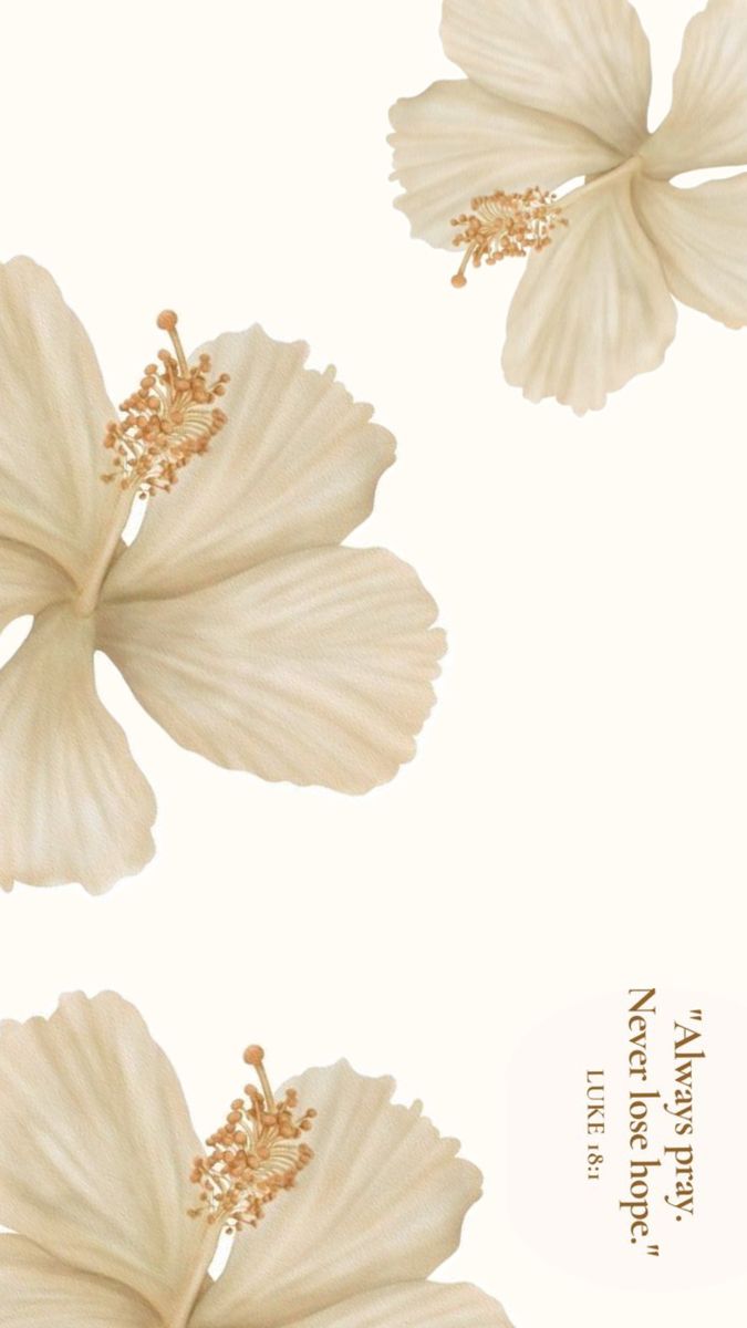 Wallpapers