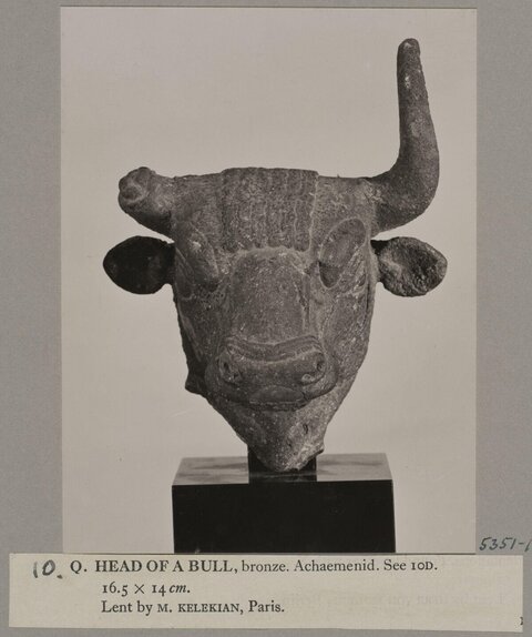 Achaemenid Bronze Bull Head
