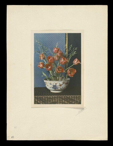 Red Tulips in Decorated Ceramic Bowl