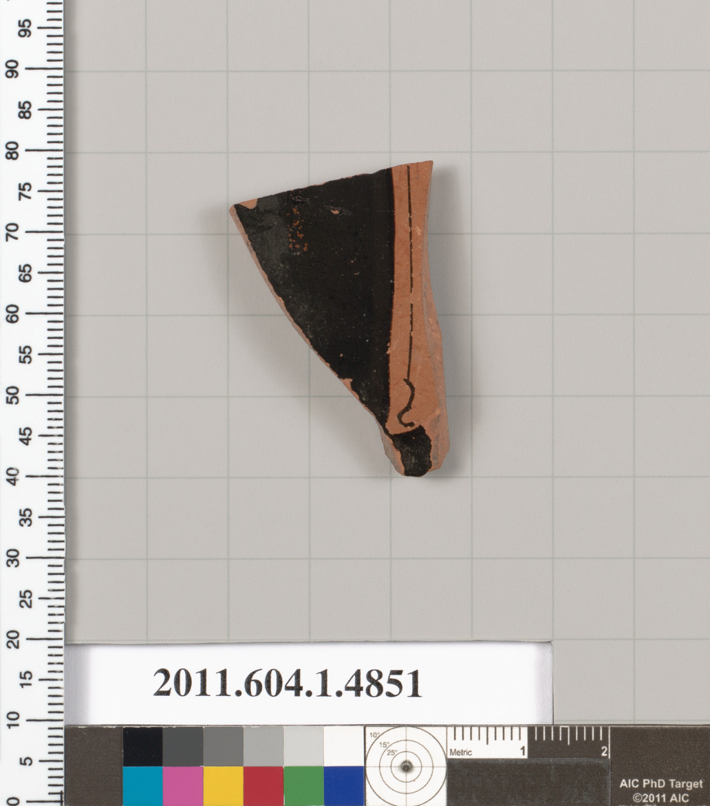 Ancient Pottery Fragment Specimen