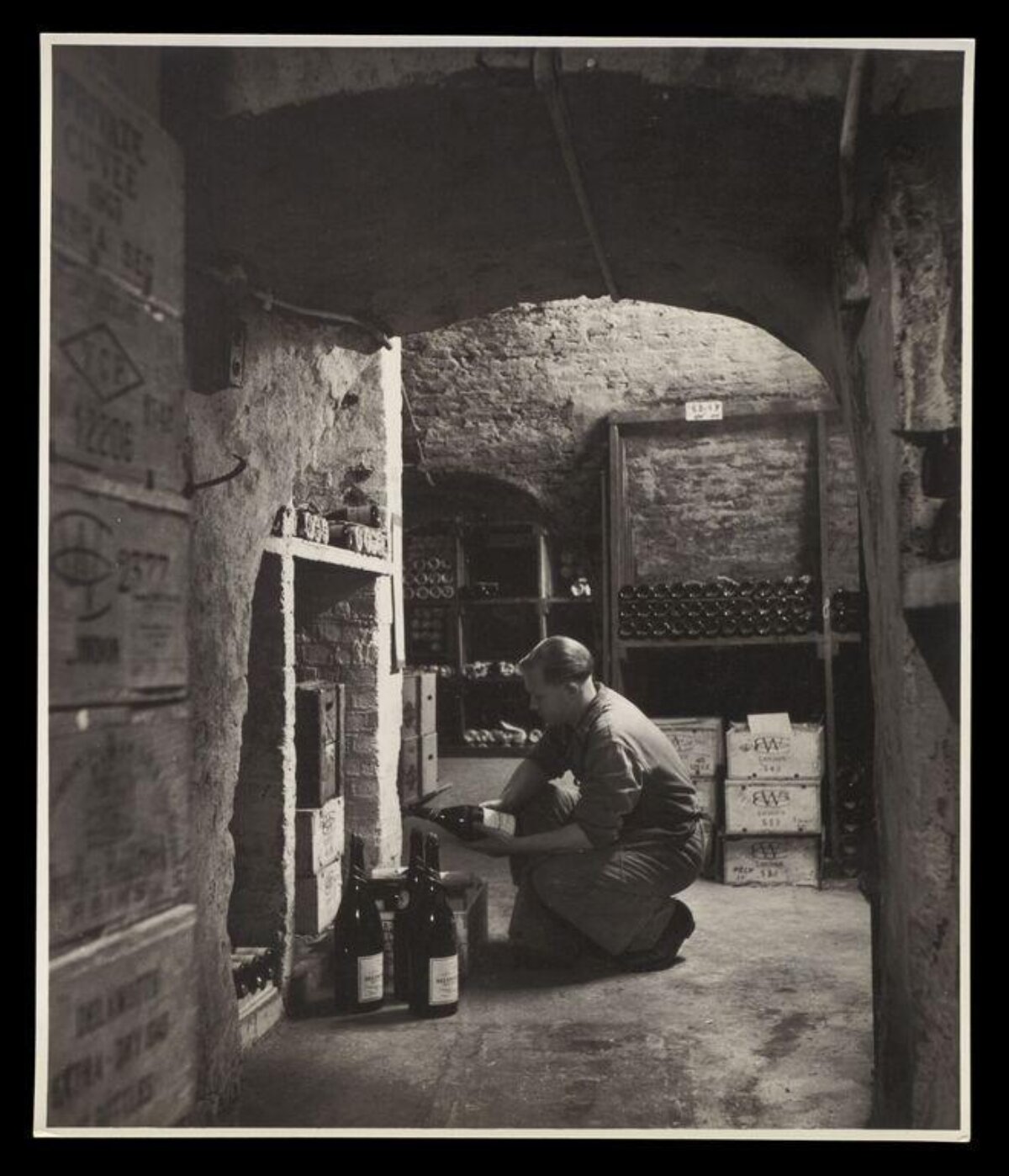 Man Inspecting Wine In Wine Cellar